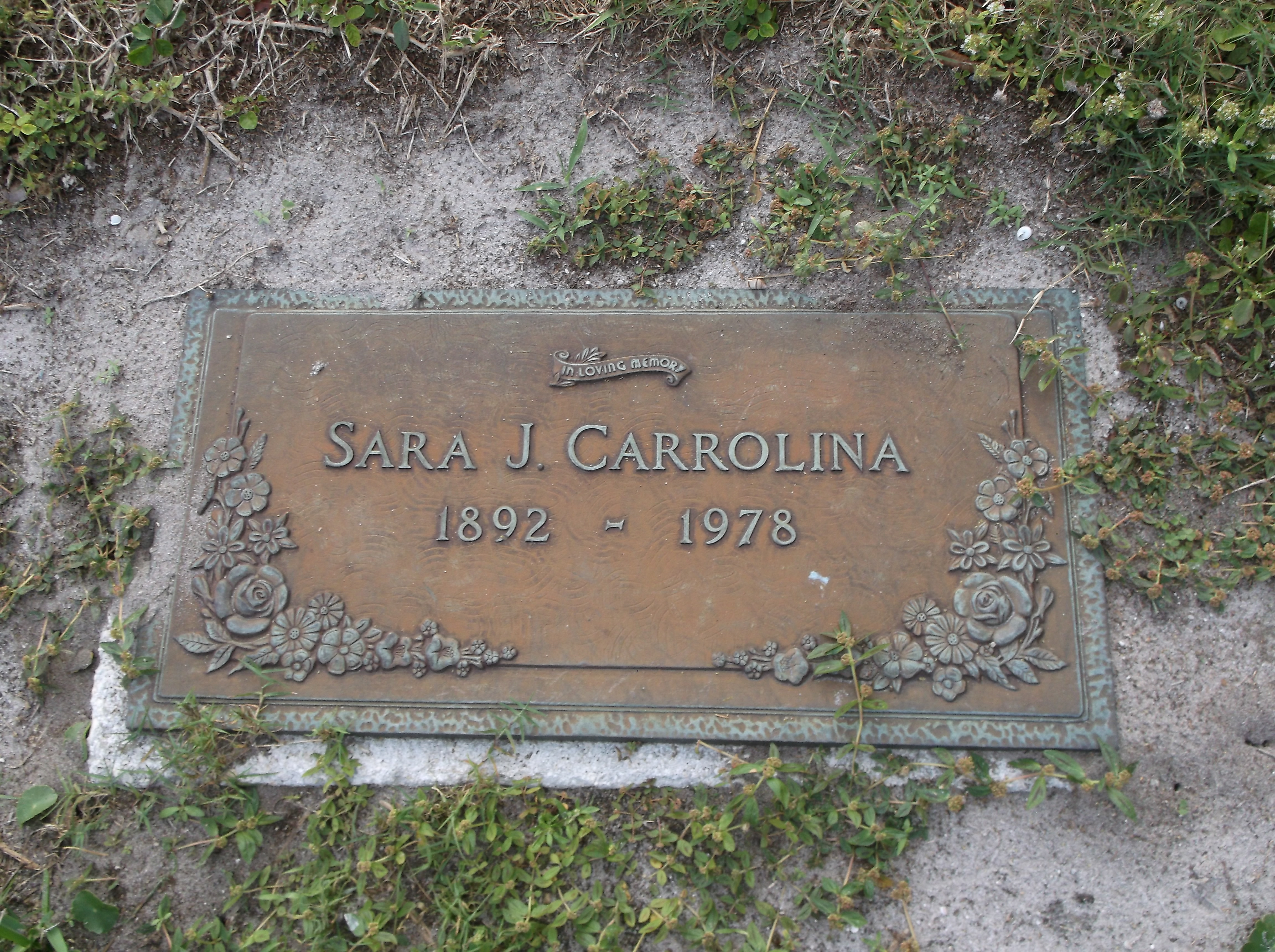 Sara J Carrolina