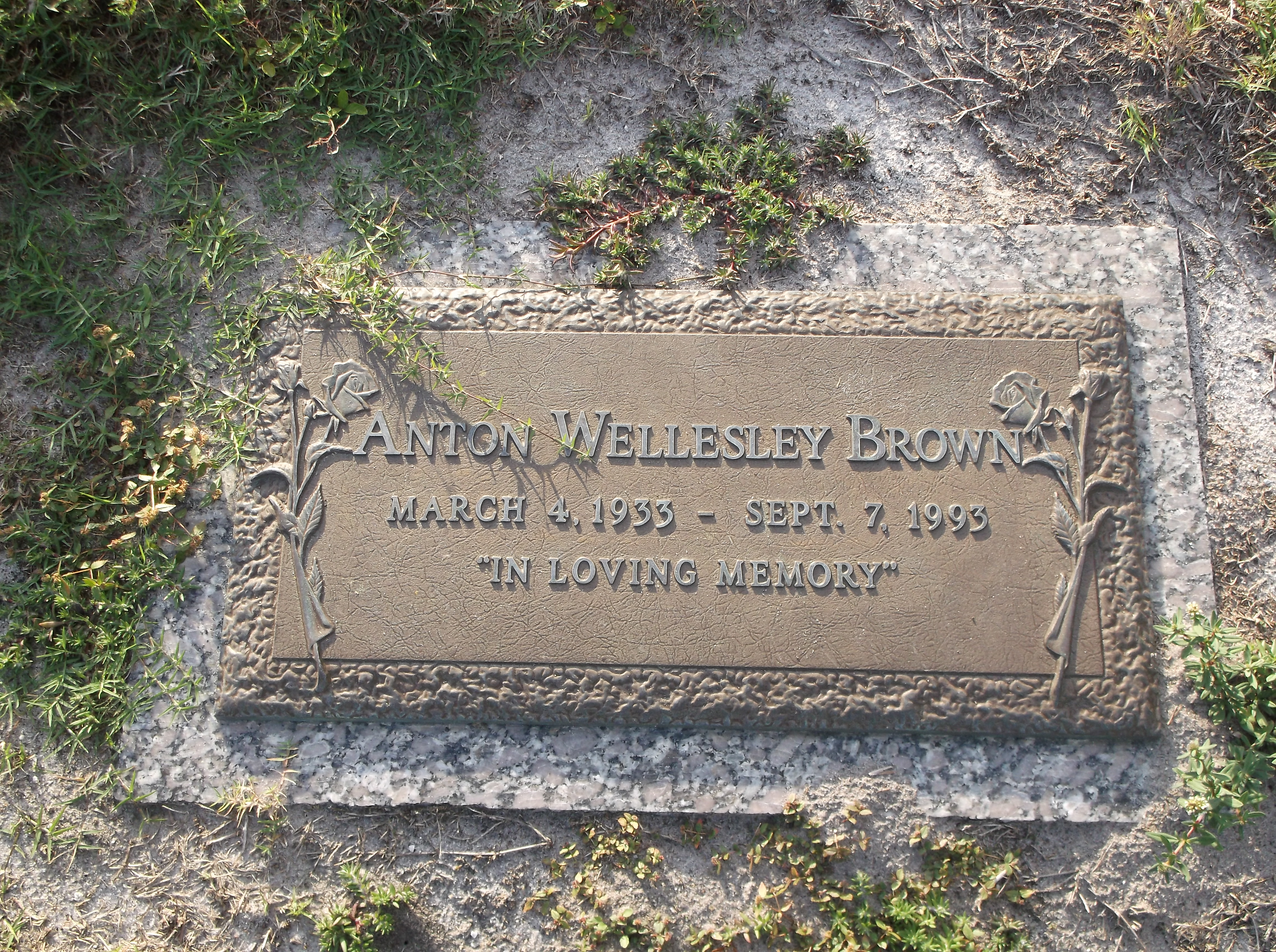 Anton Wellesley Brown