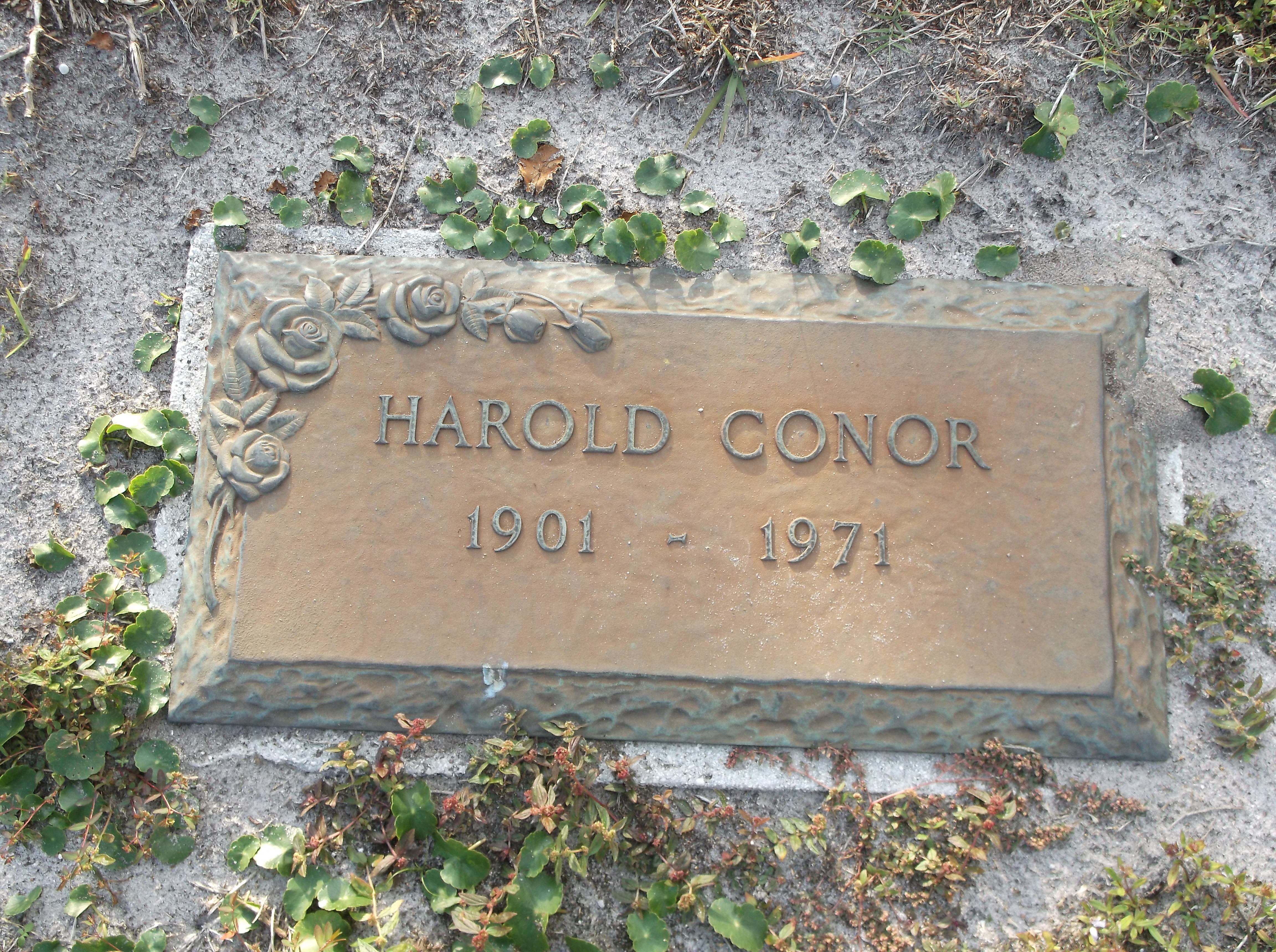Harold Conor