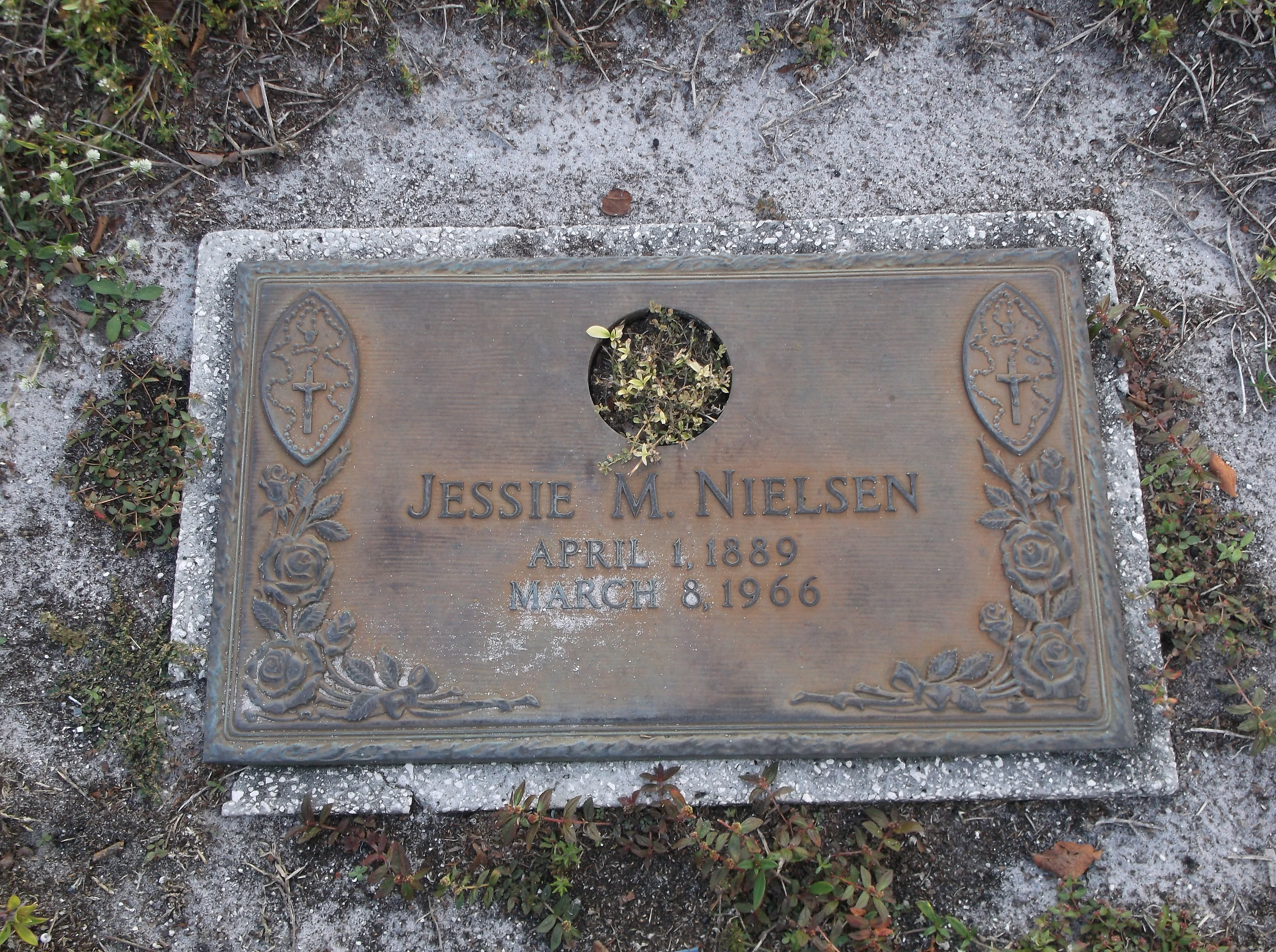 Jessie M Nielsen