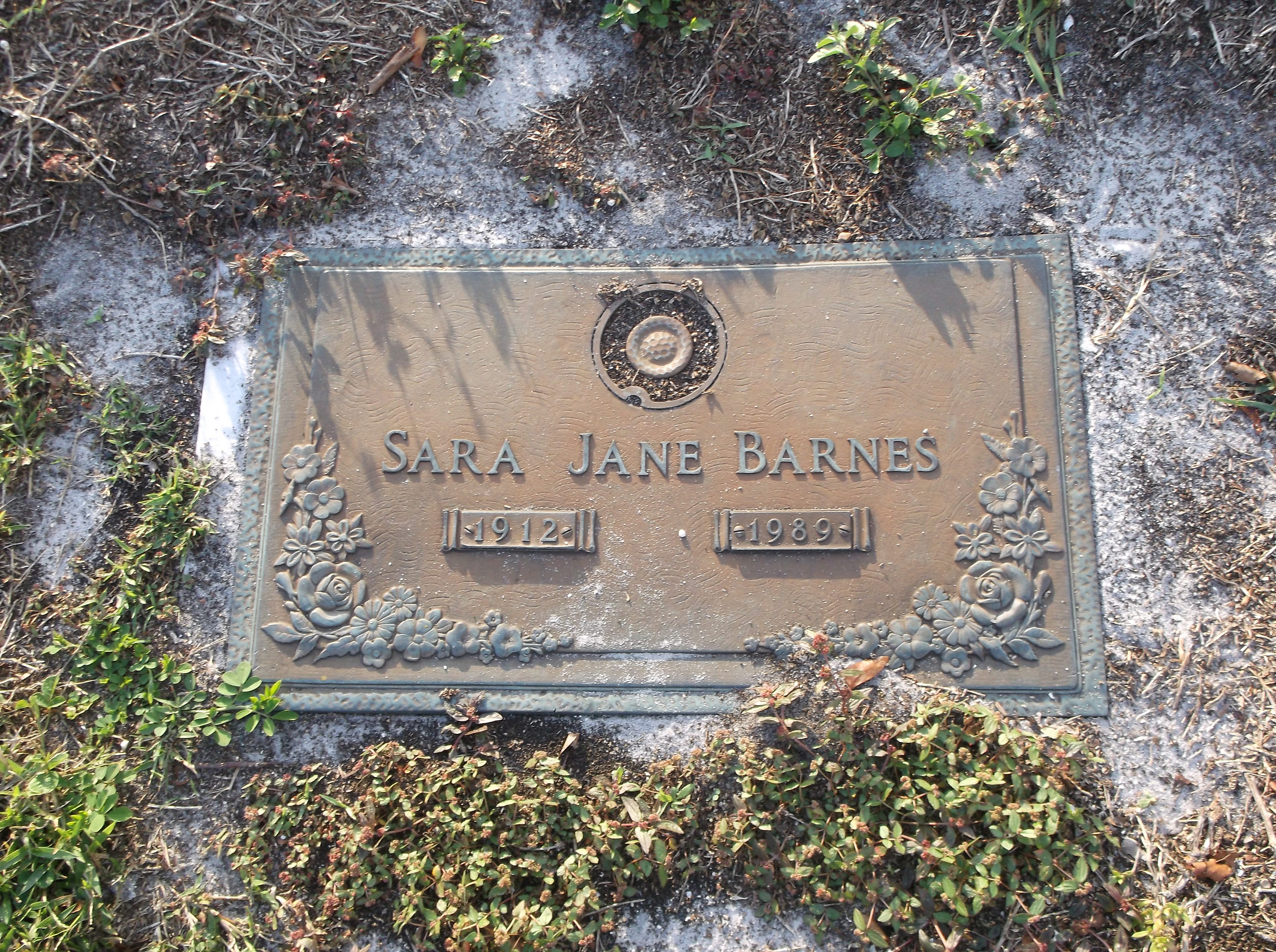 Sara Jane Barnes