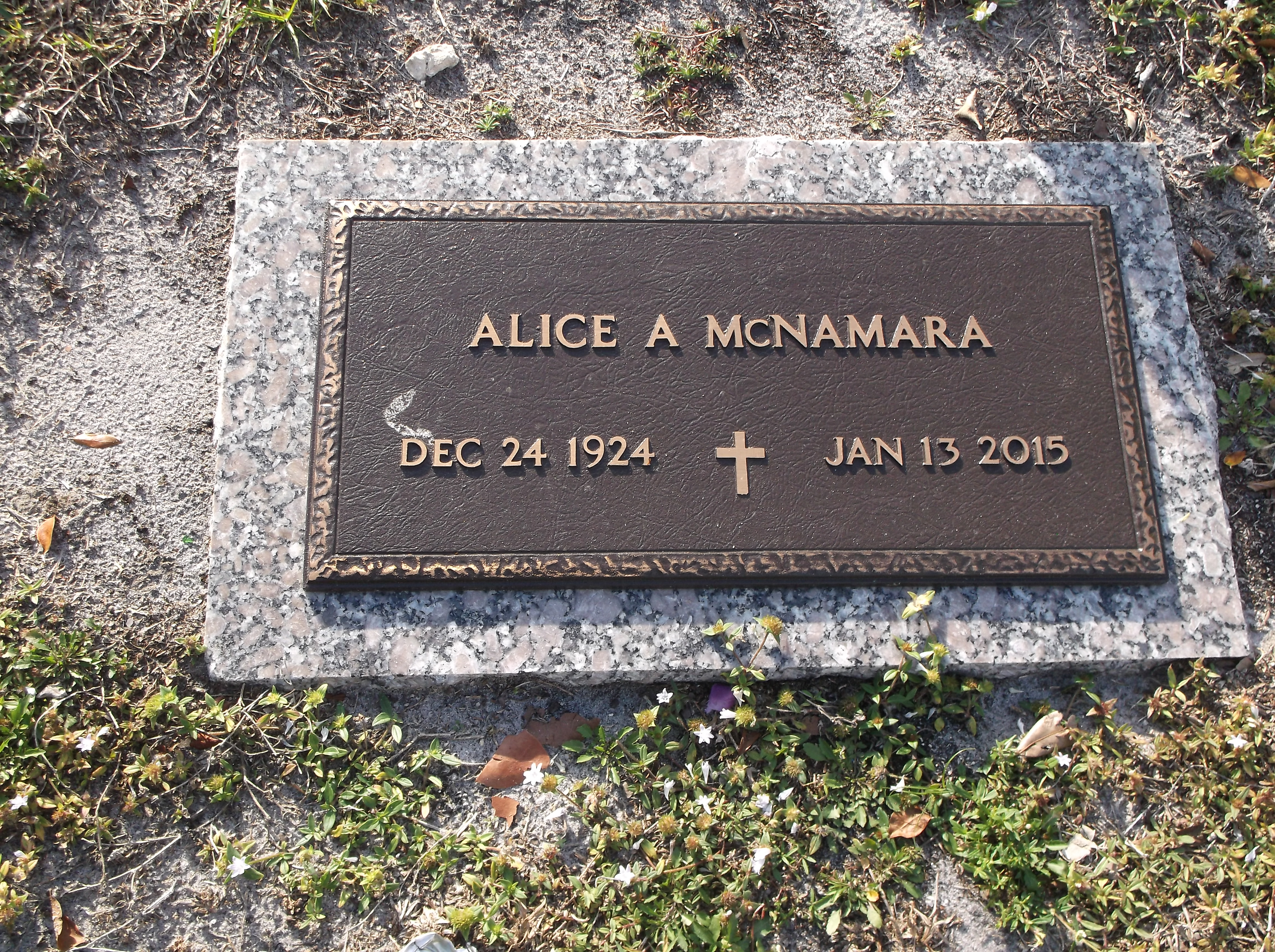 Alice A McNamara