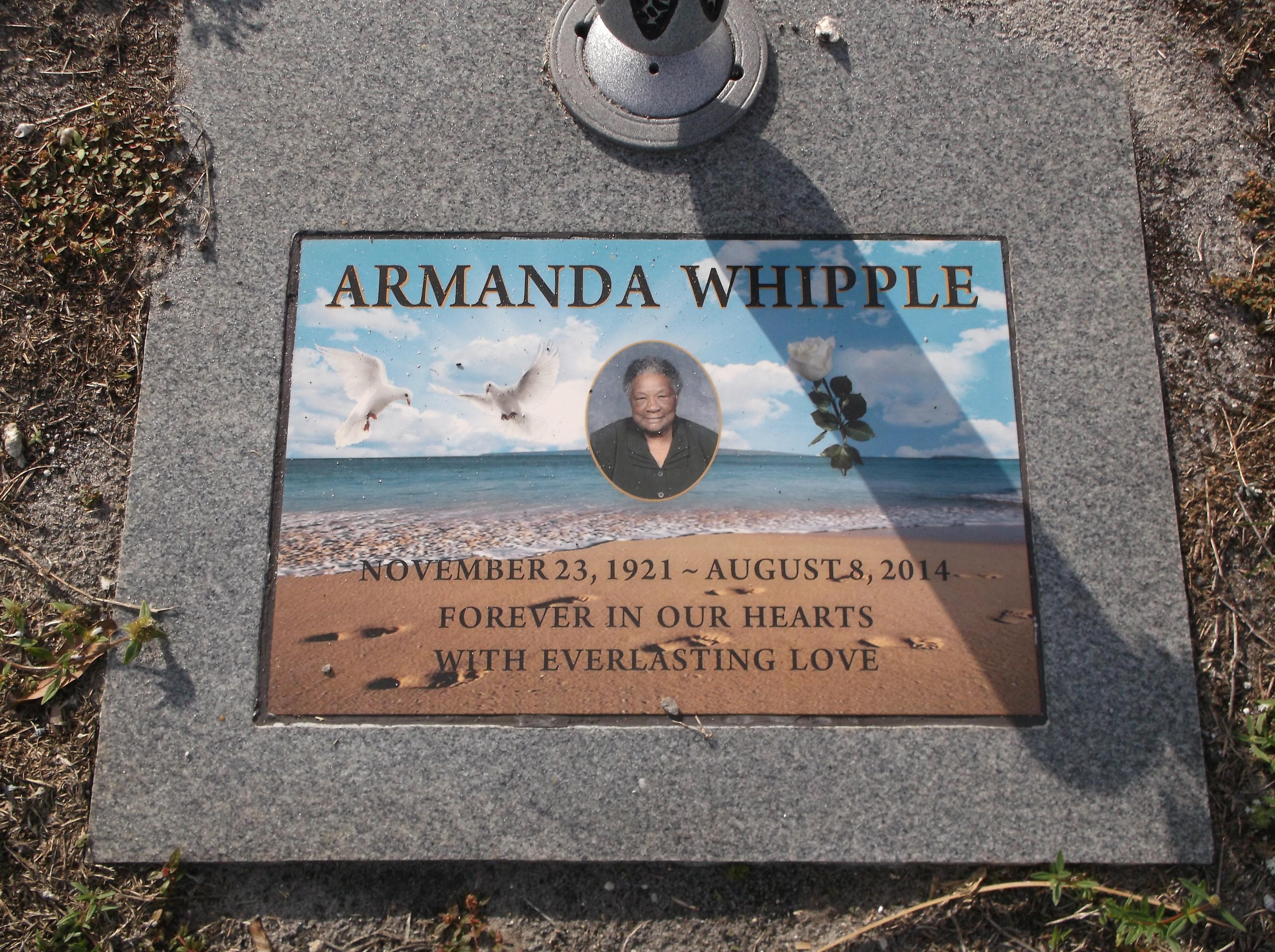 Armanda Whipple