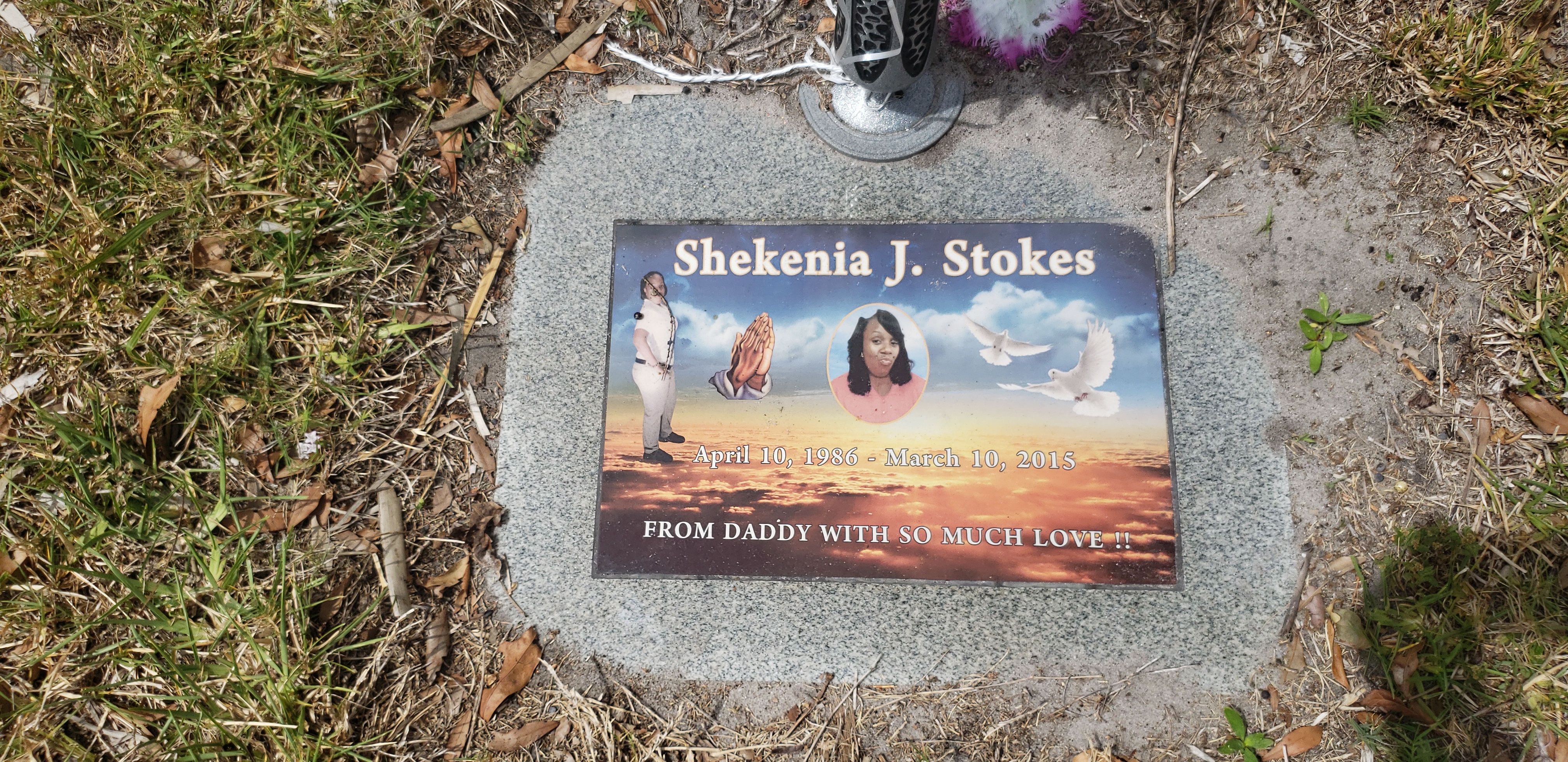 Shekenia J Stokes