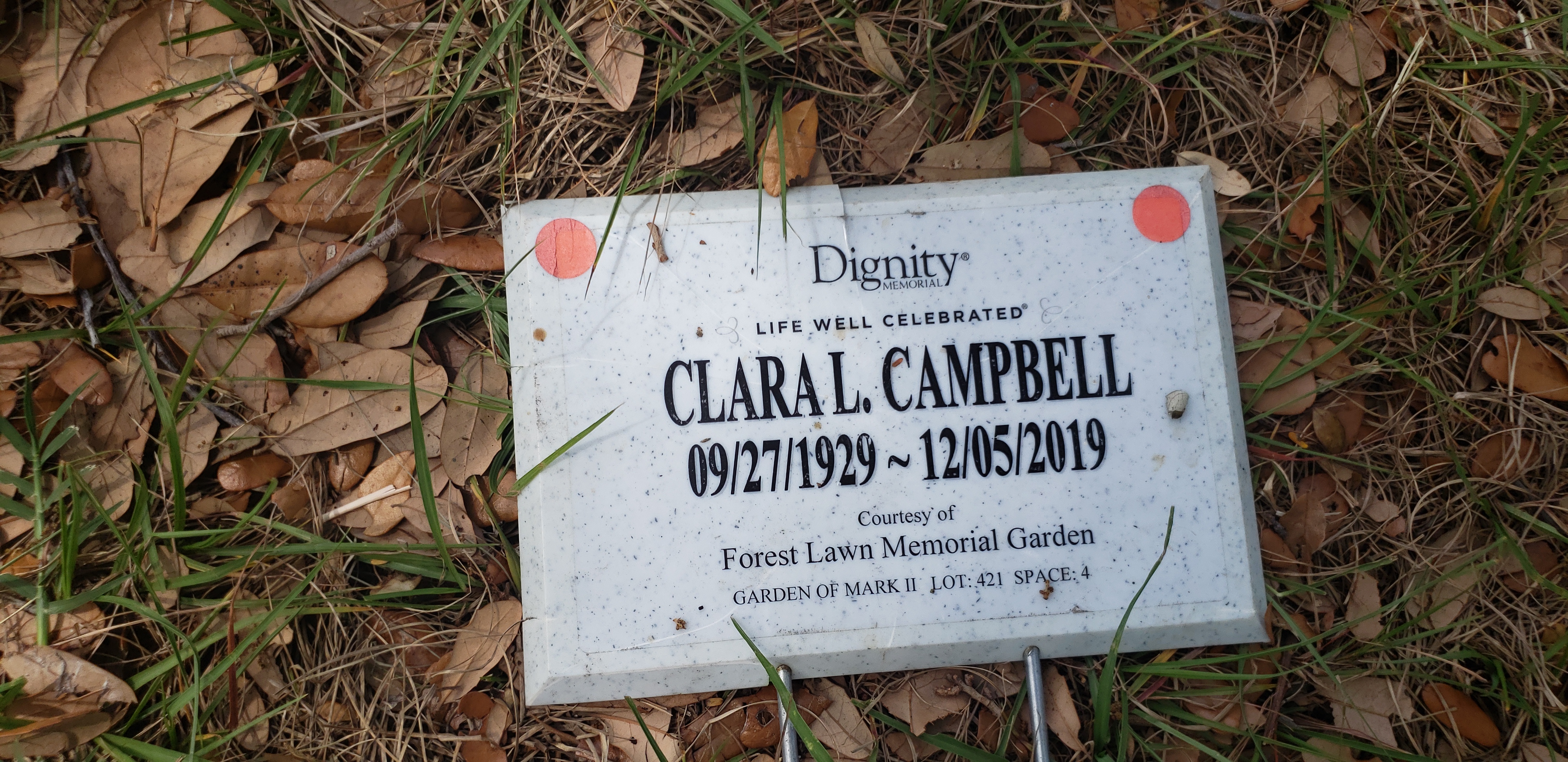 Clara L Campbell