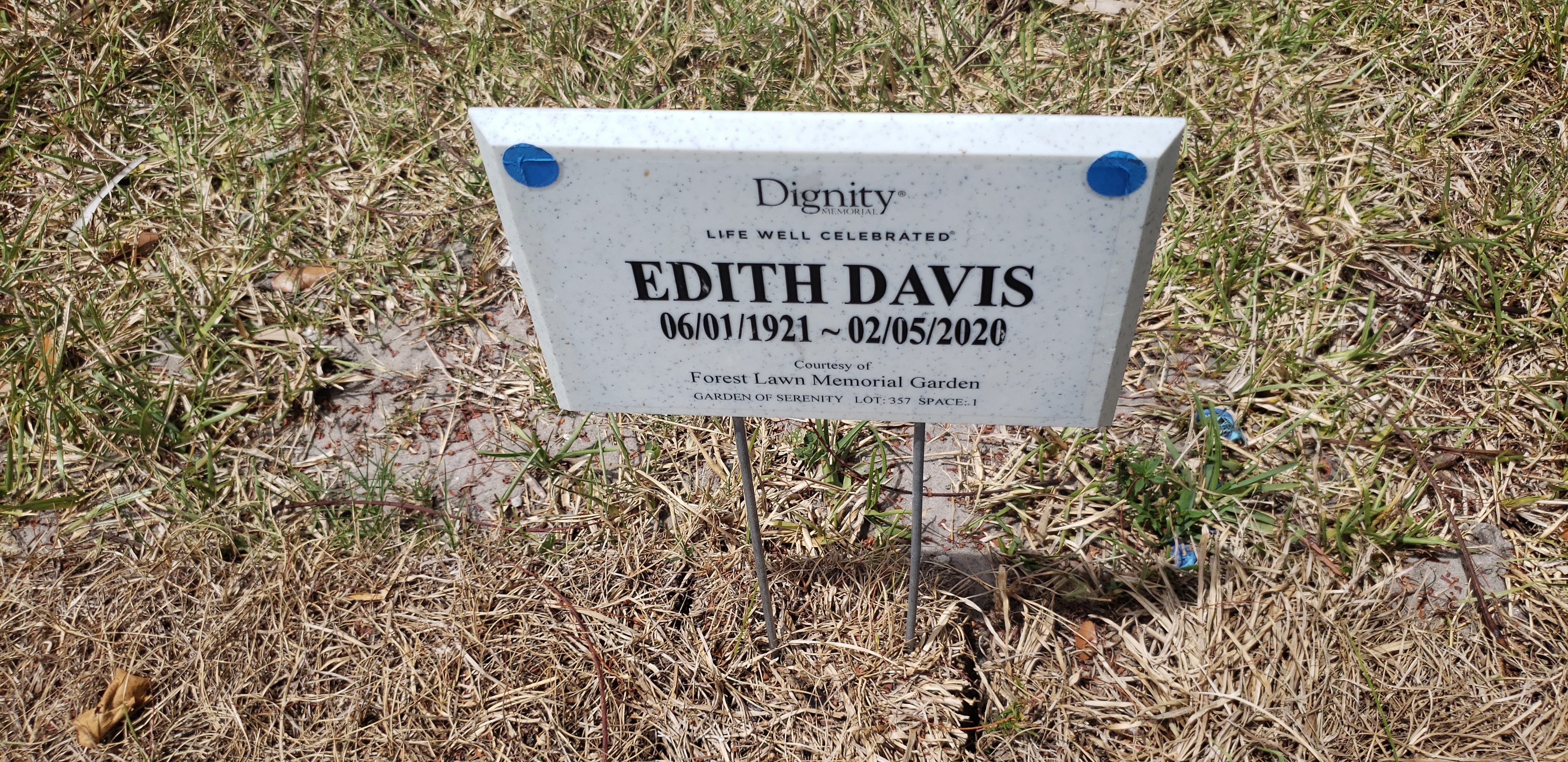 Edith Davis
