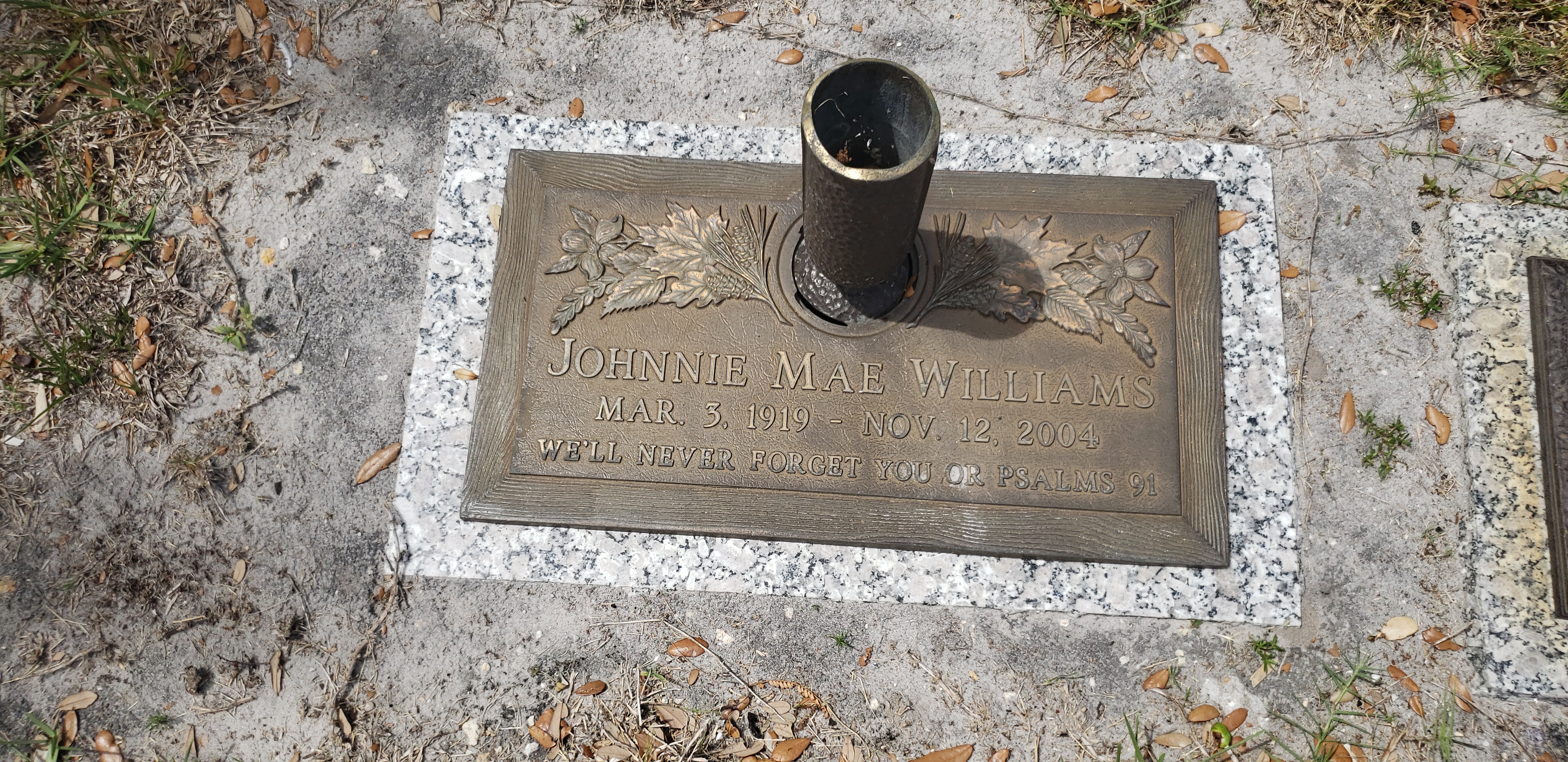 Johnnie Mae Williams