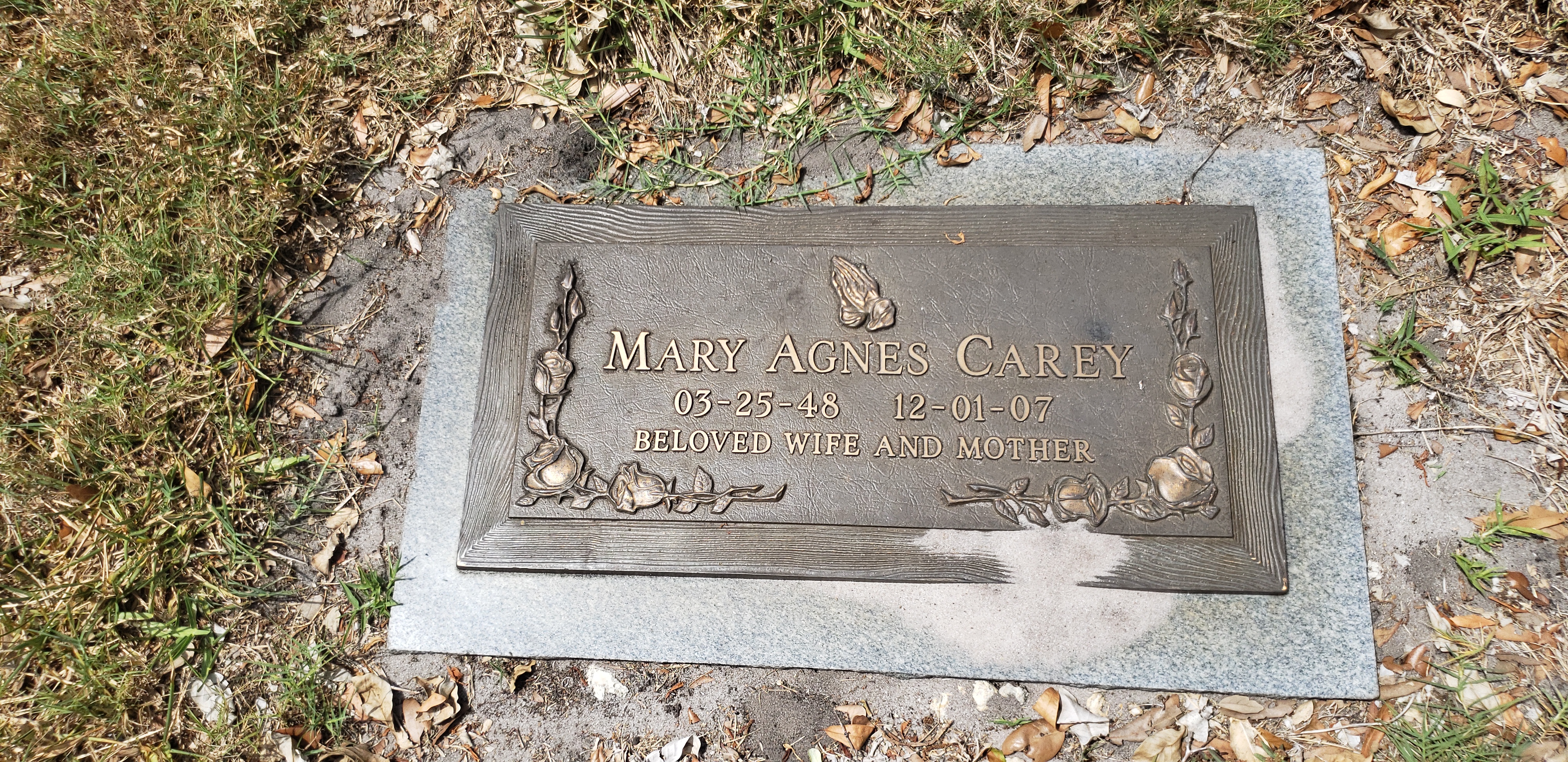 Mary Agnes Carey