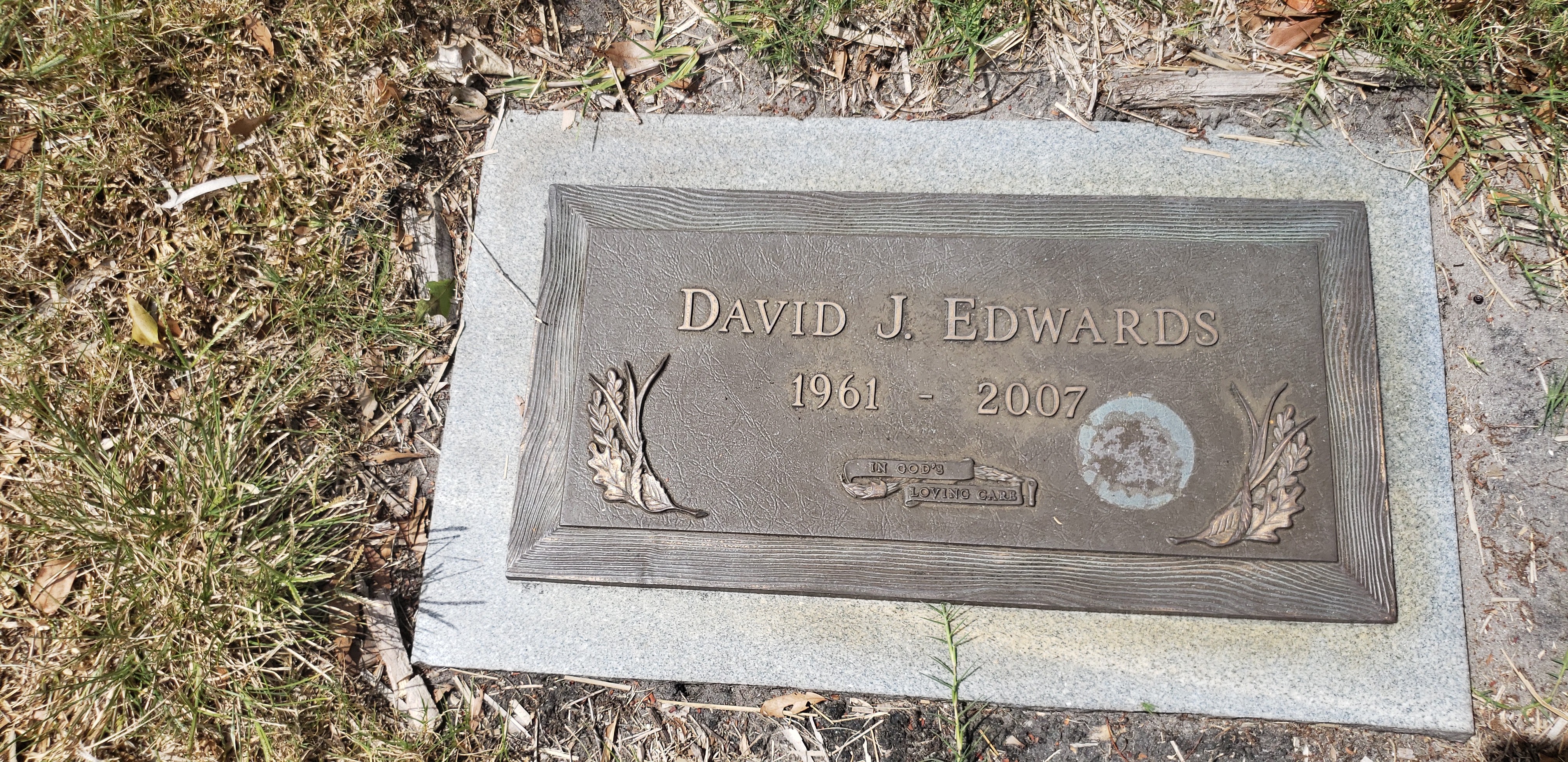 David J Edwards