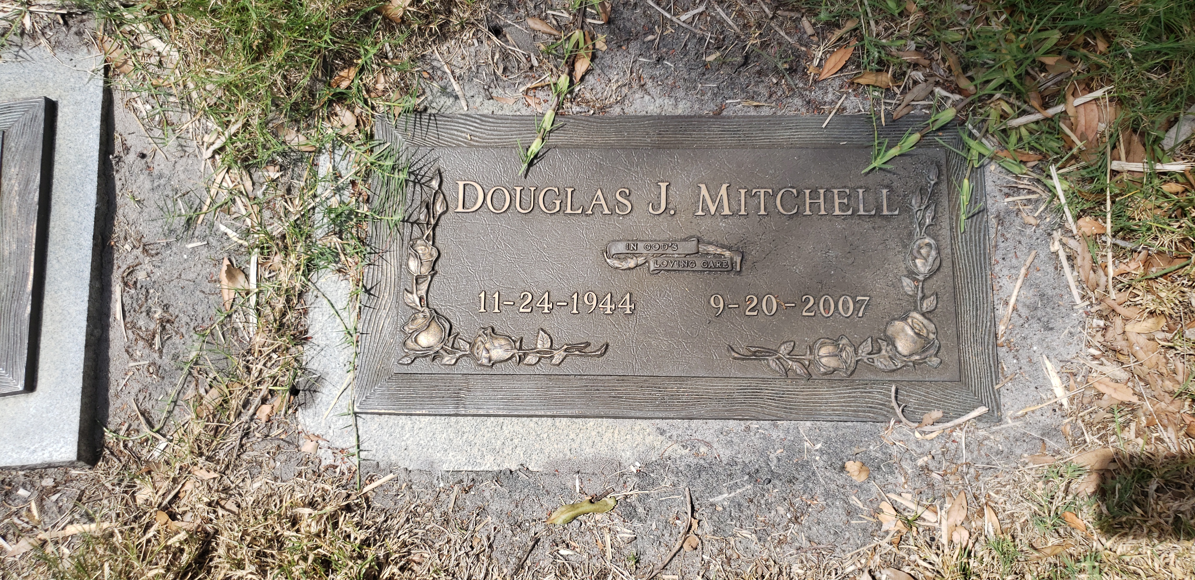 Douglas J Mitchell