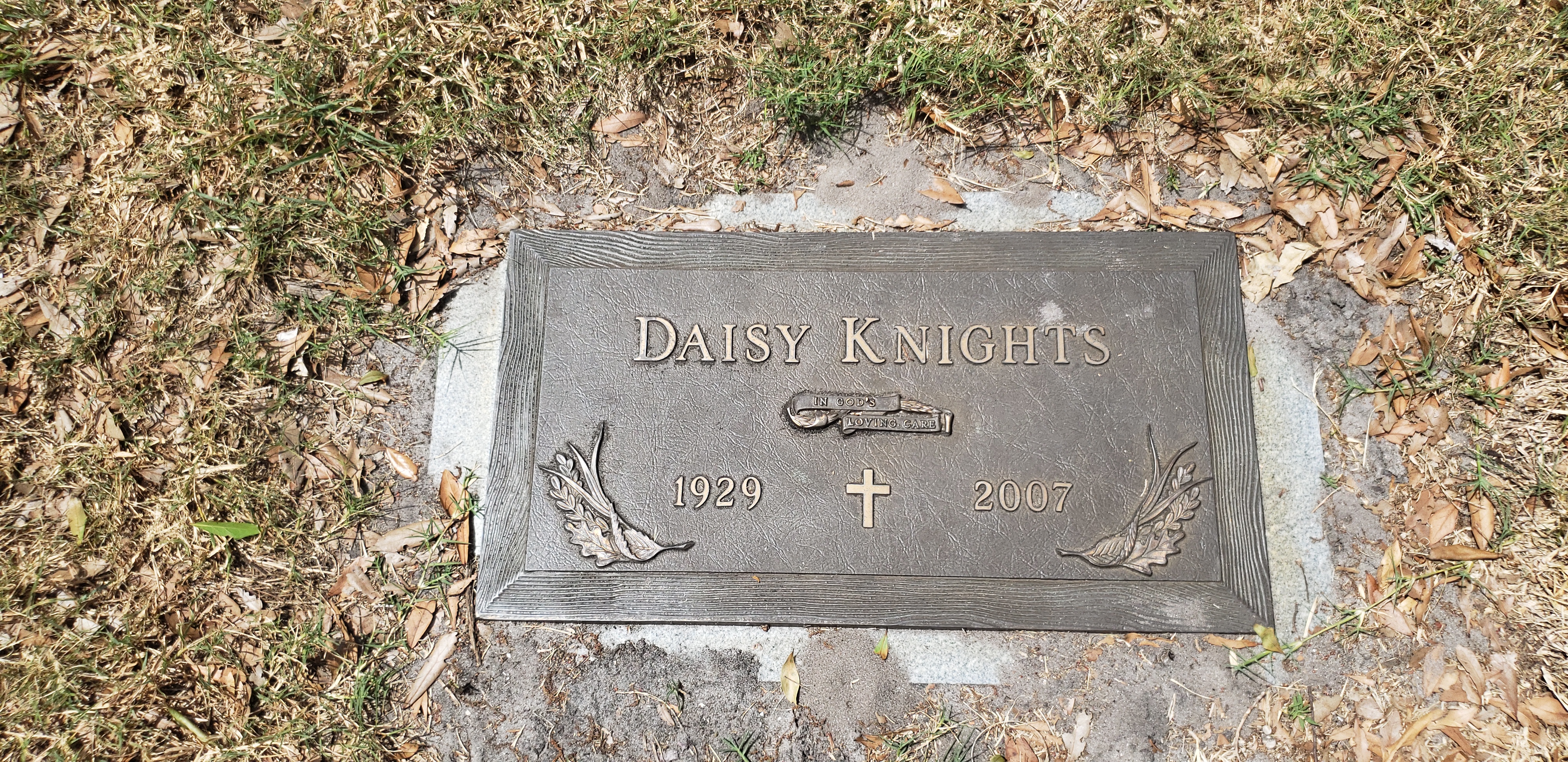 Daisy Knights
