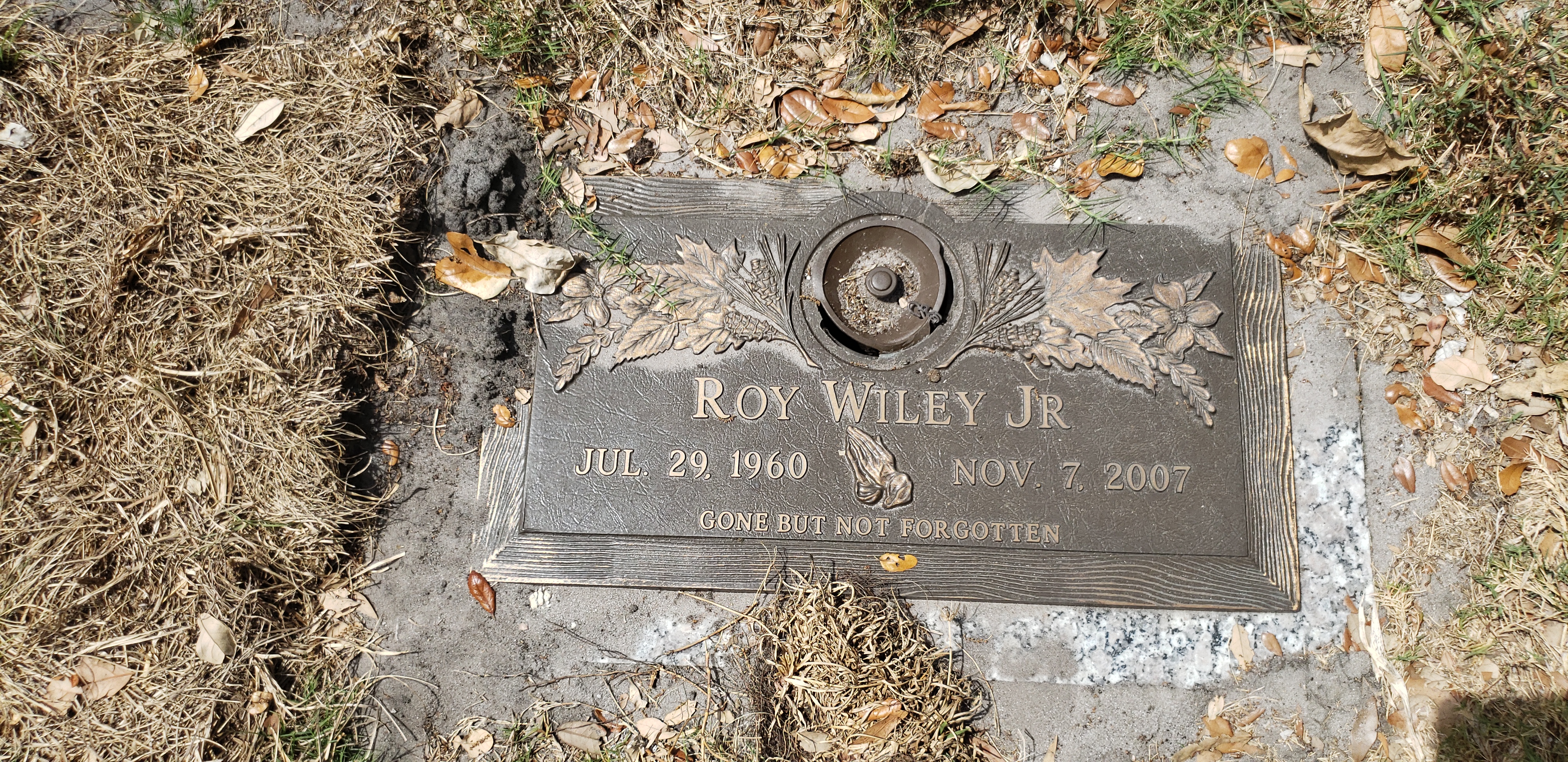 Roy Wiley, Jr
