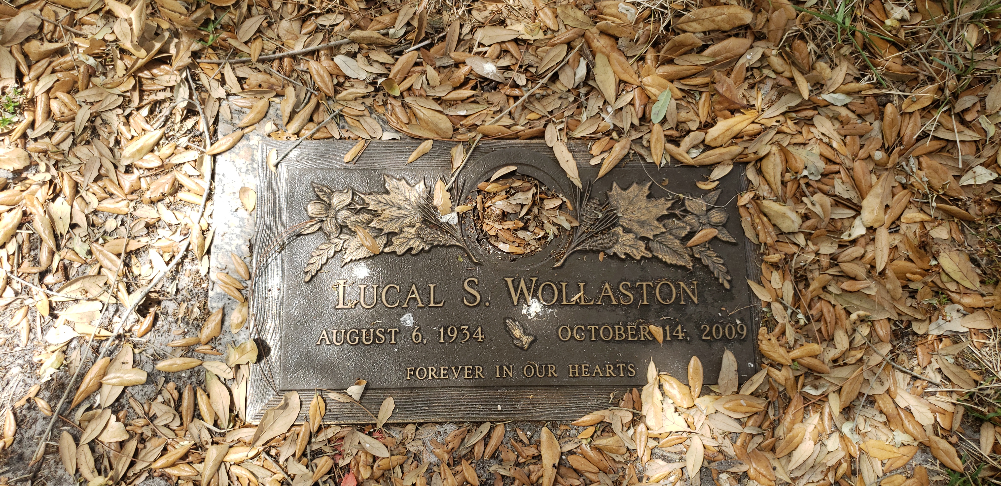 Lucal S Wollaston