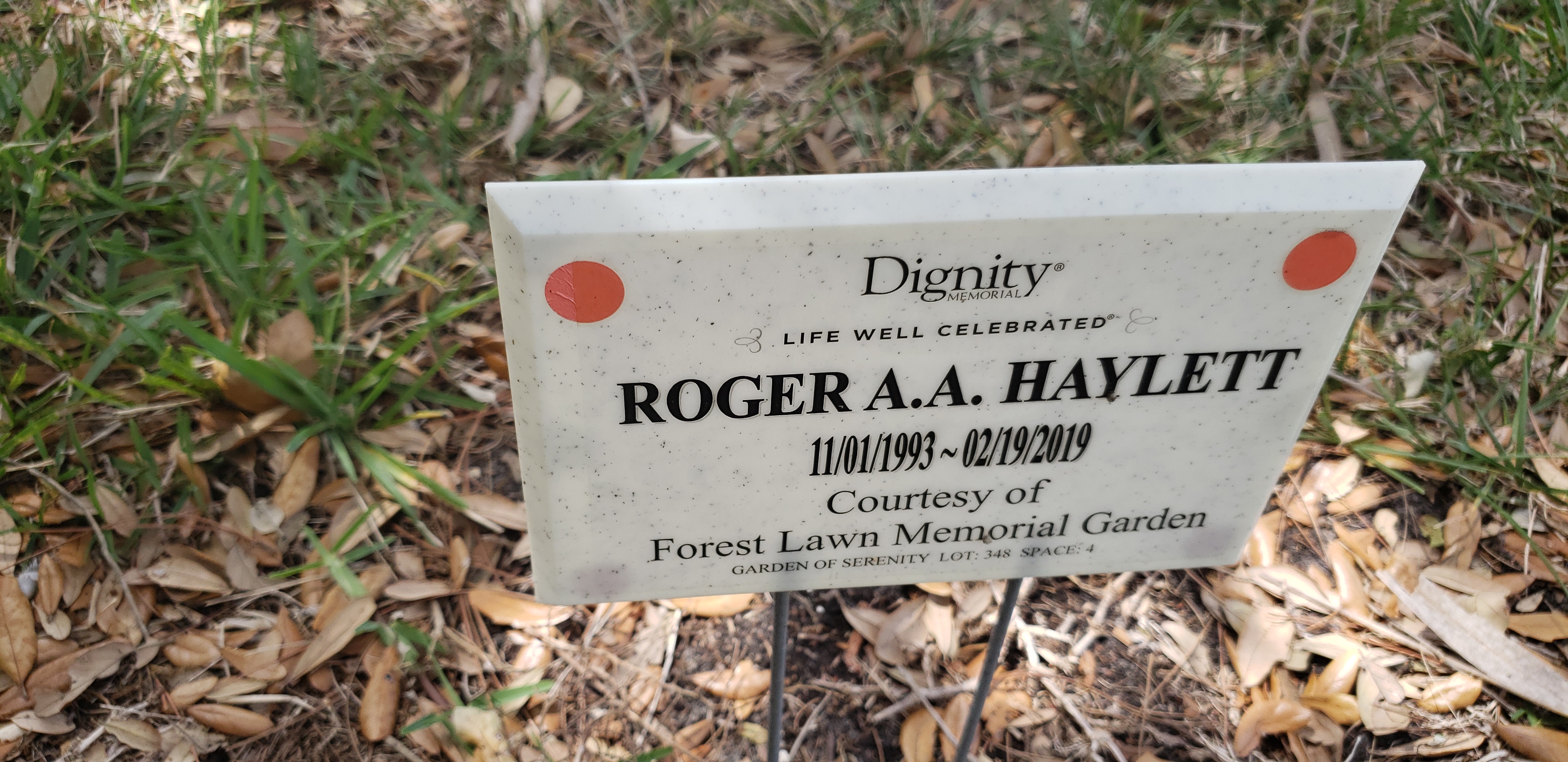 Roger A A Haylett
