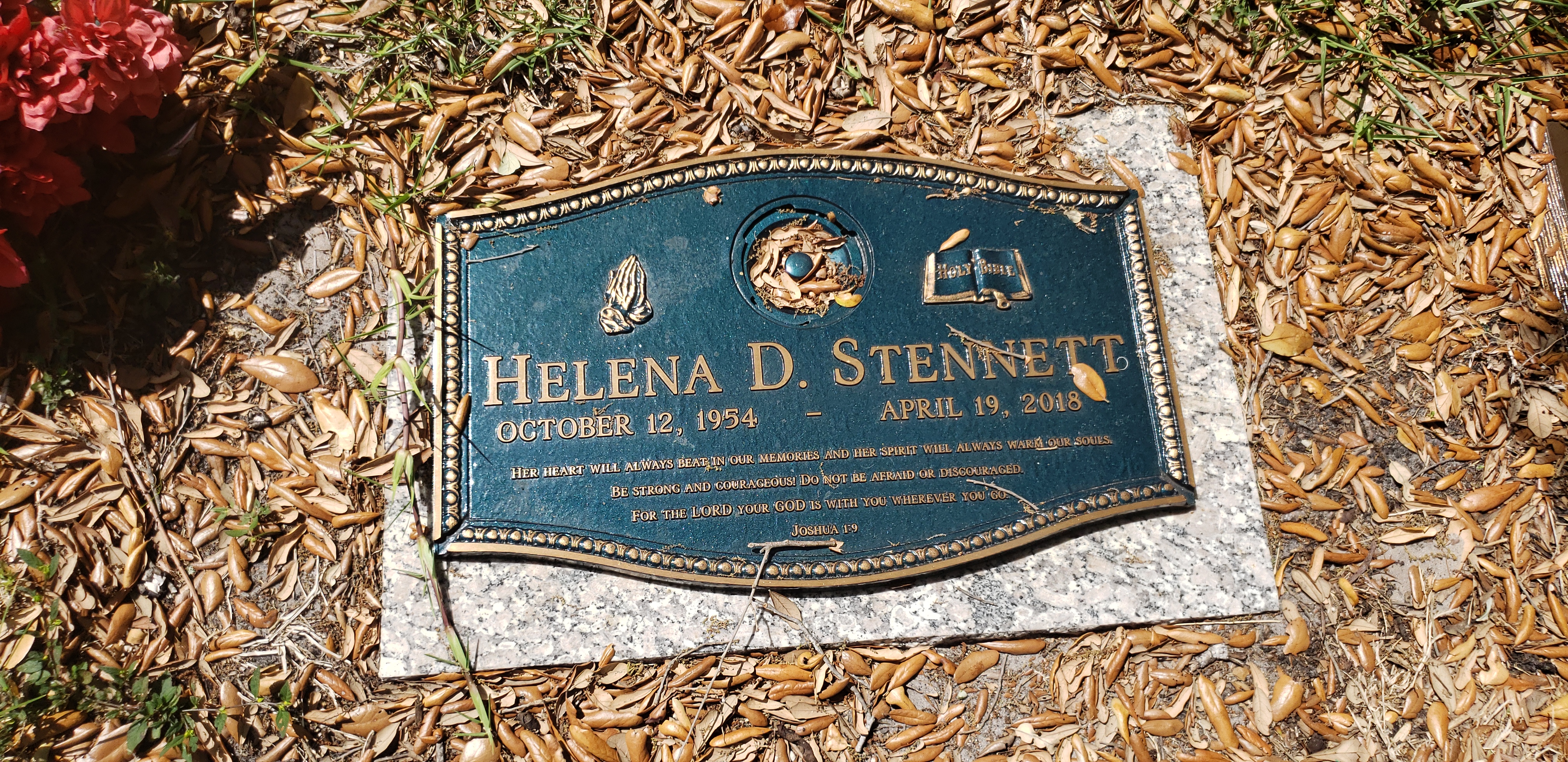 Helena D Stennett