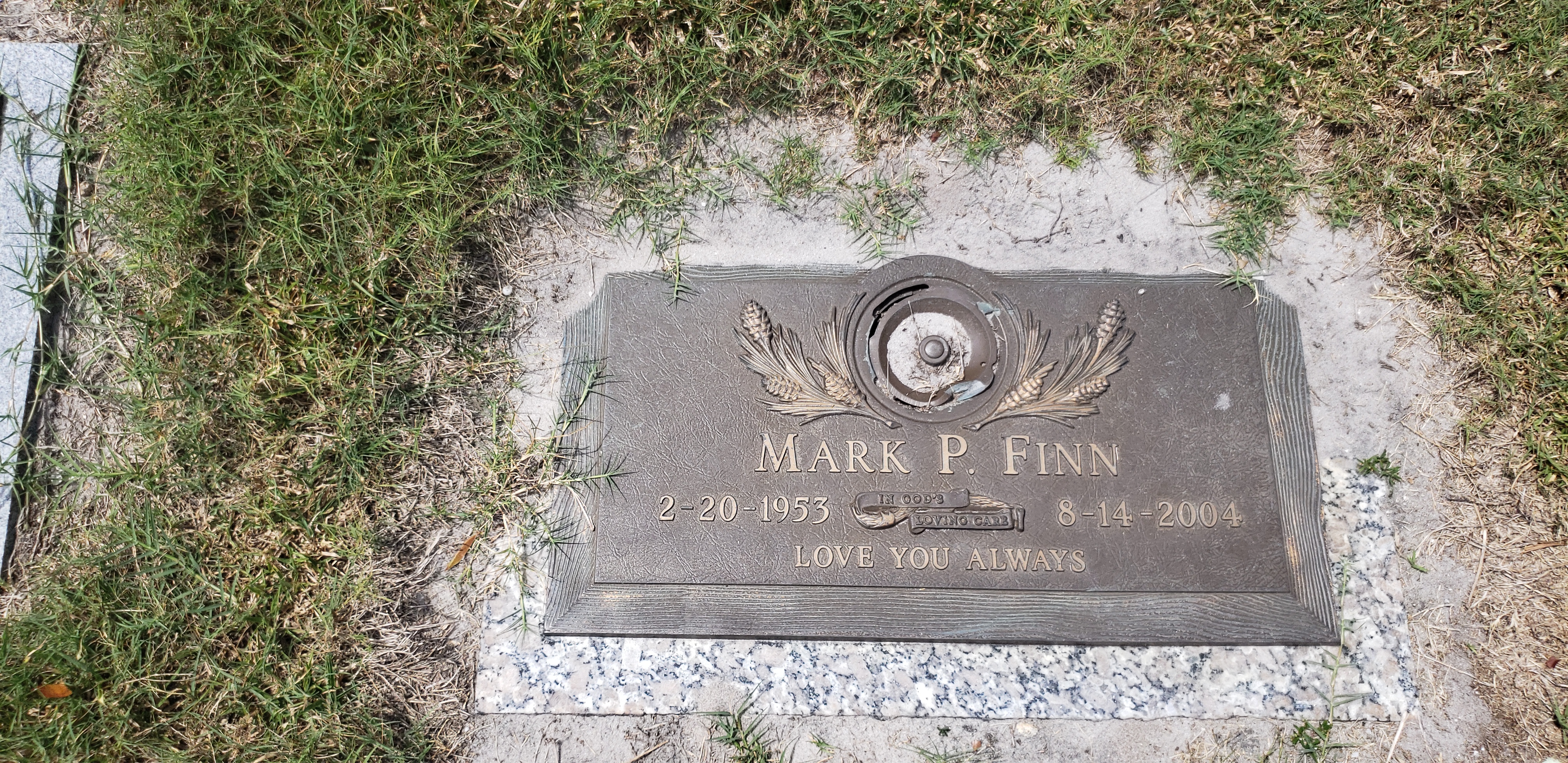 Mark P Finn