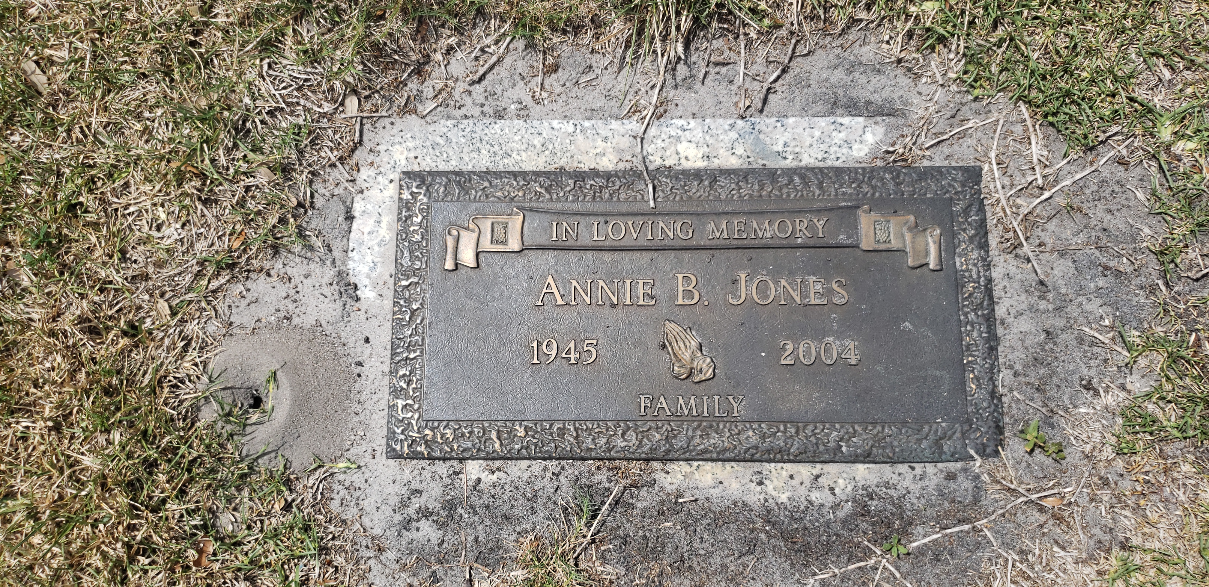 Annie B Jones