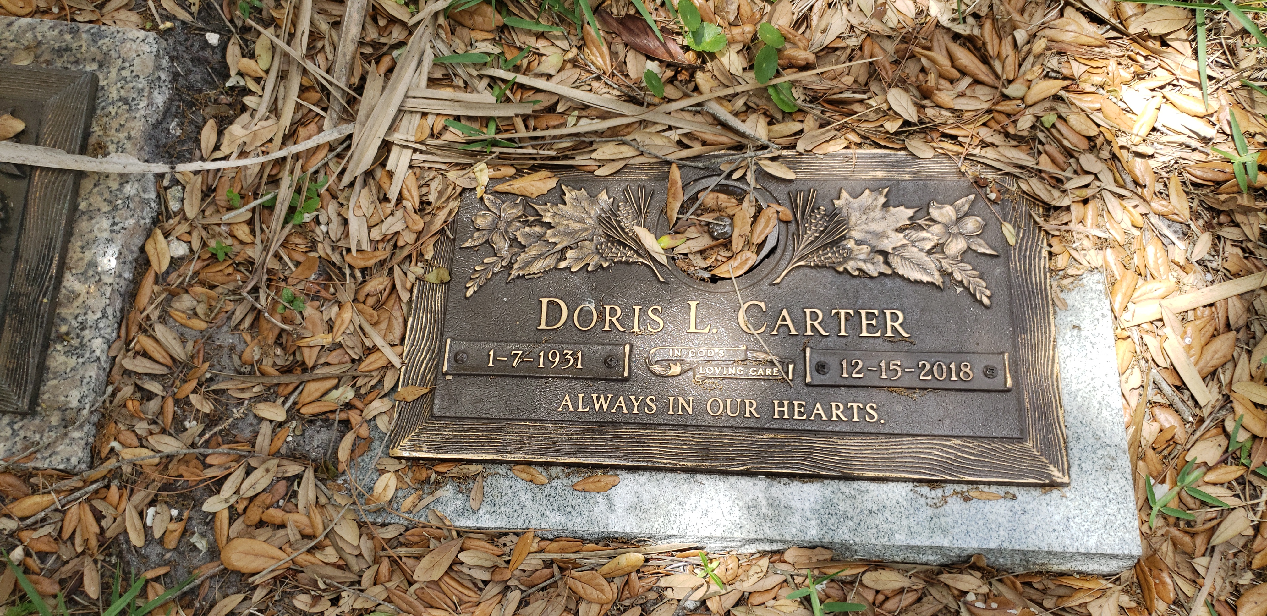 Doris L Carter