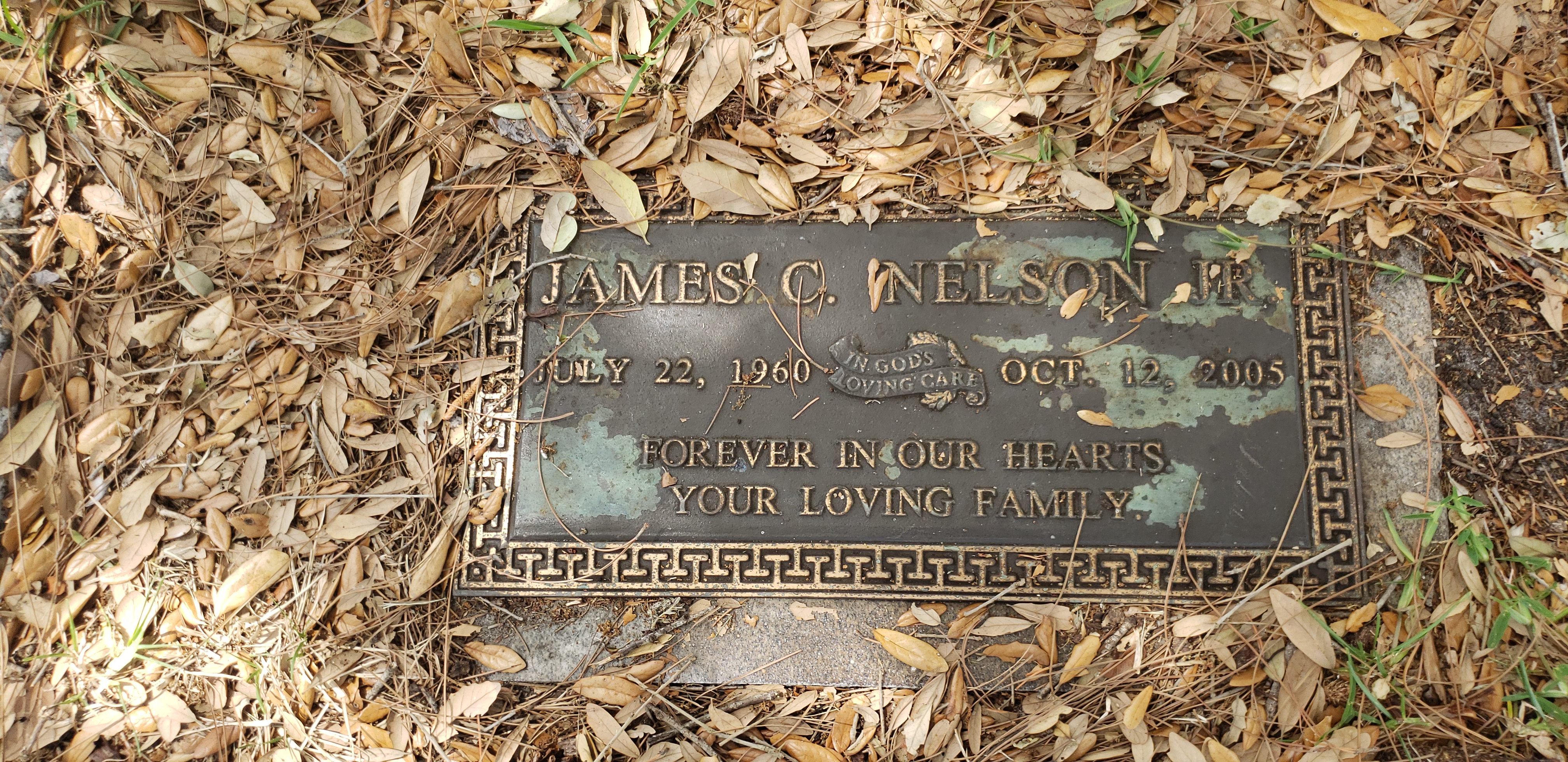 James C Nelson, Jr