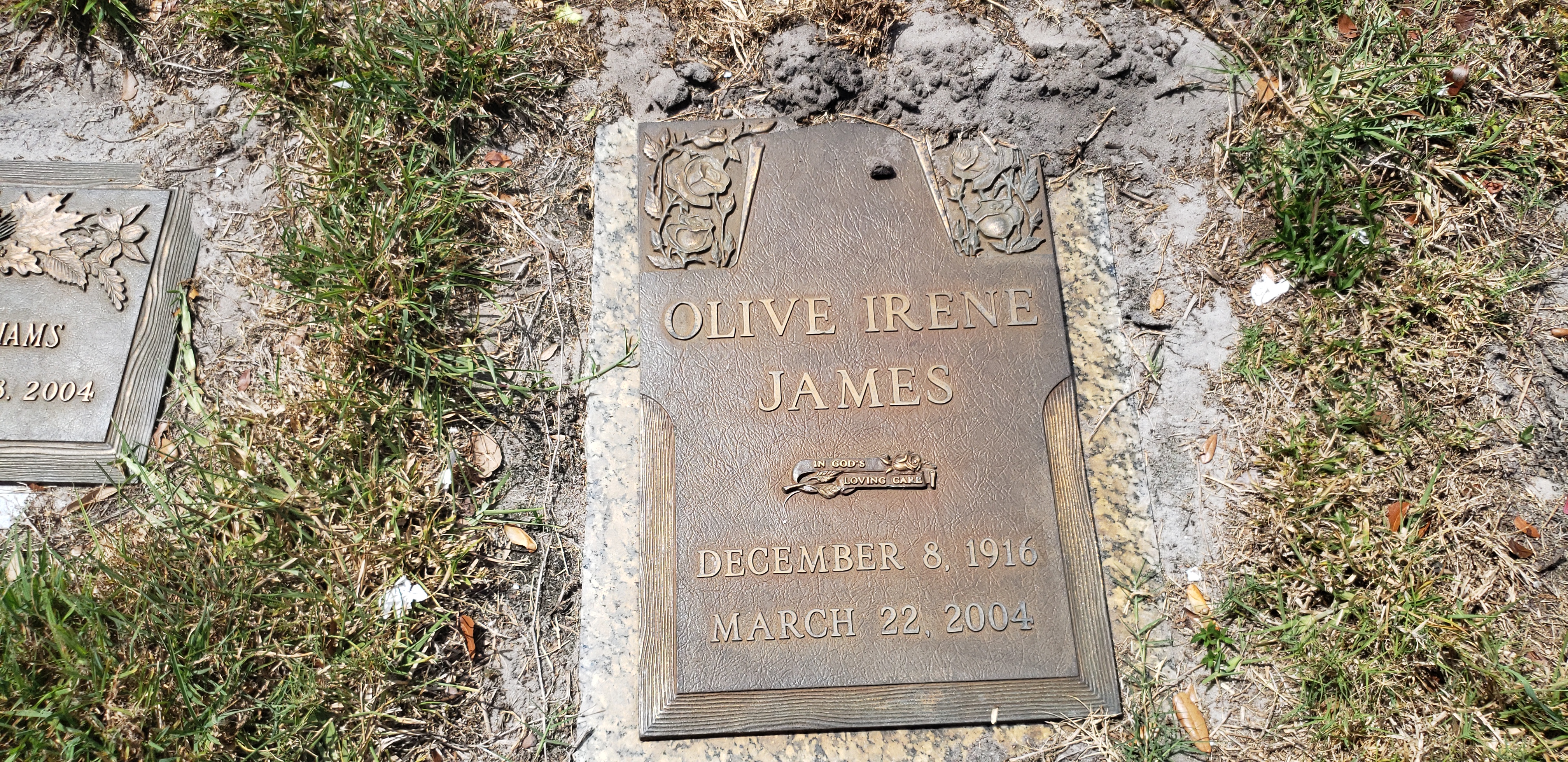 Olive Irene James