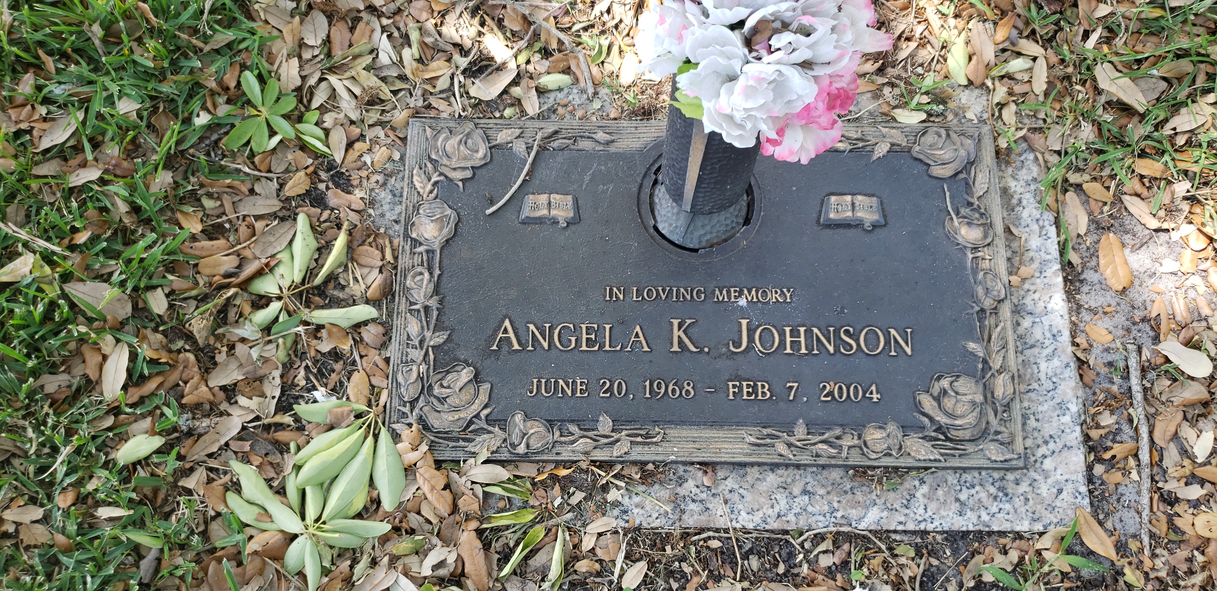 Angela K Johnson