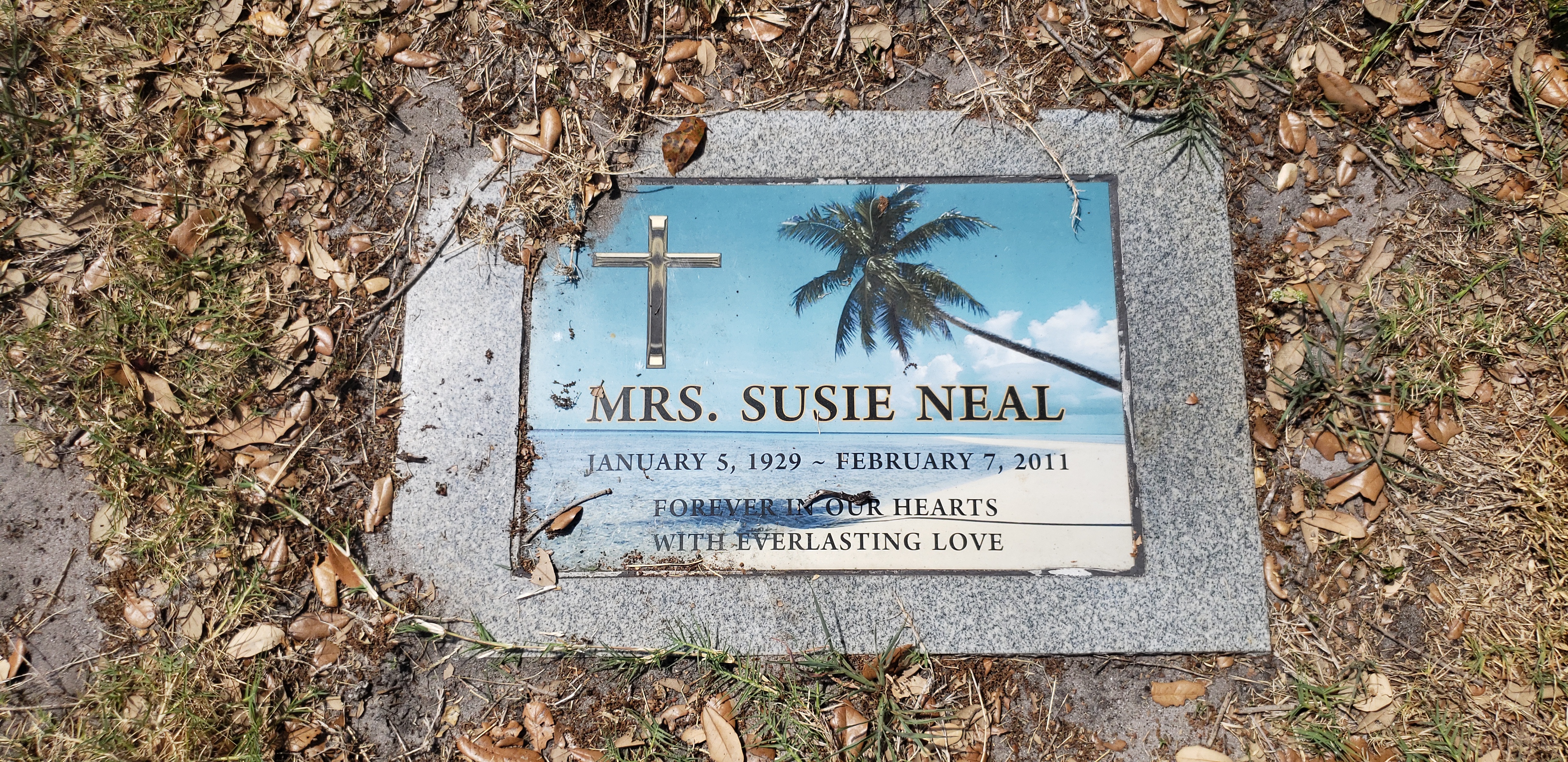 Susie Neal