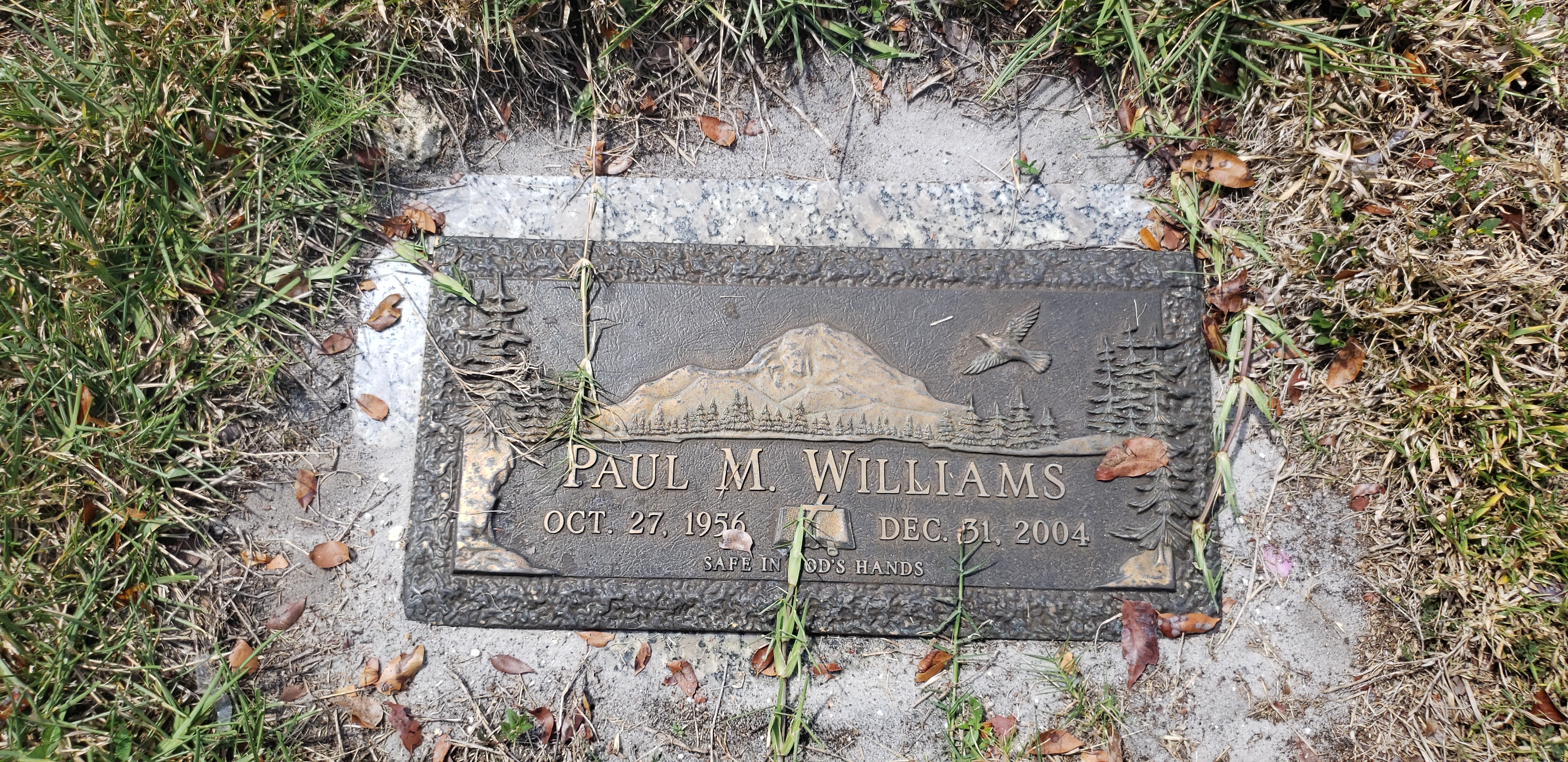 Paul M Williams