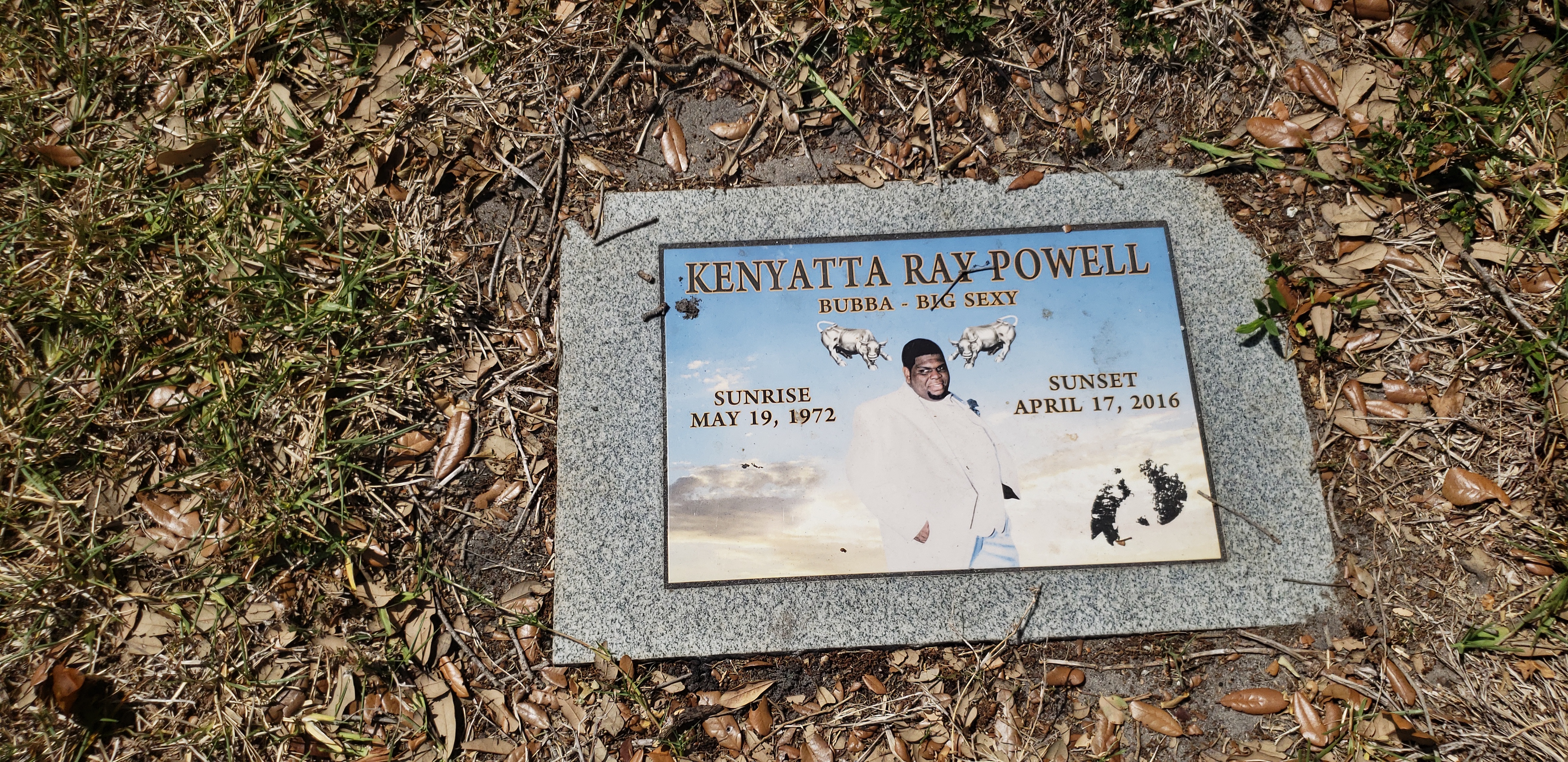 Kenyatta Ray Powell