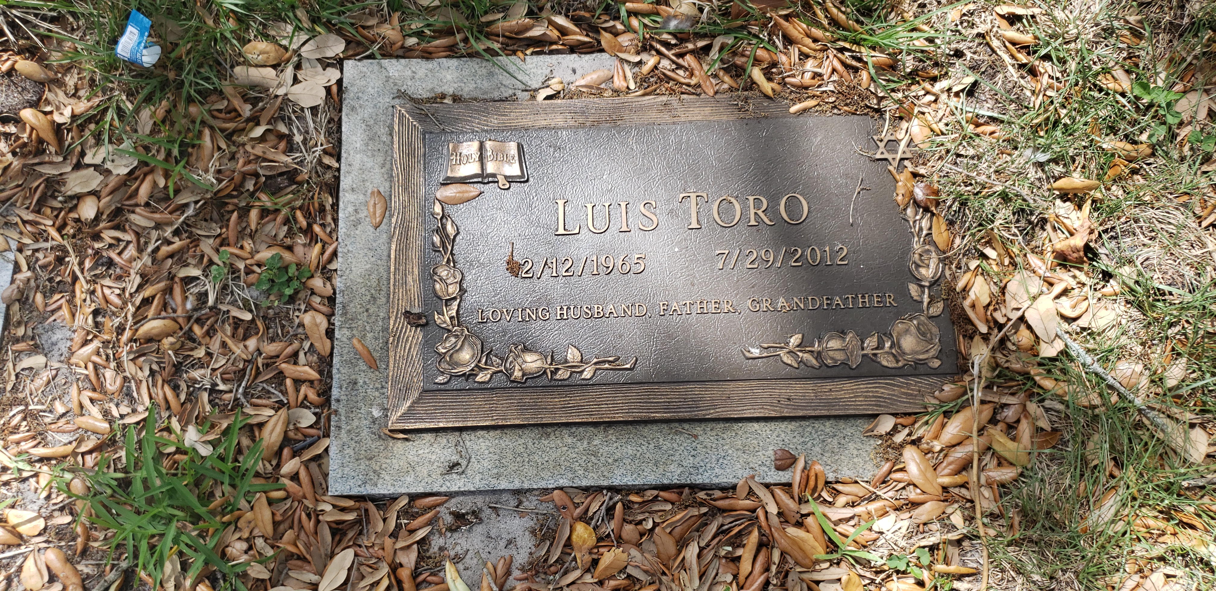 Luis Toro