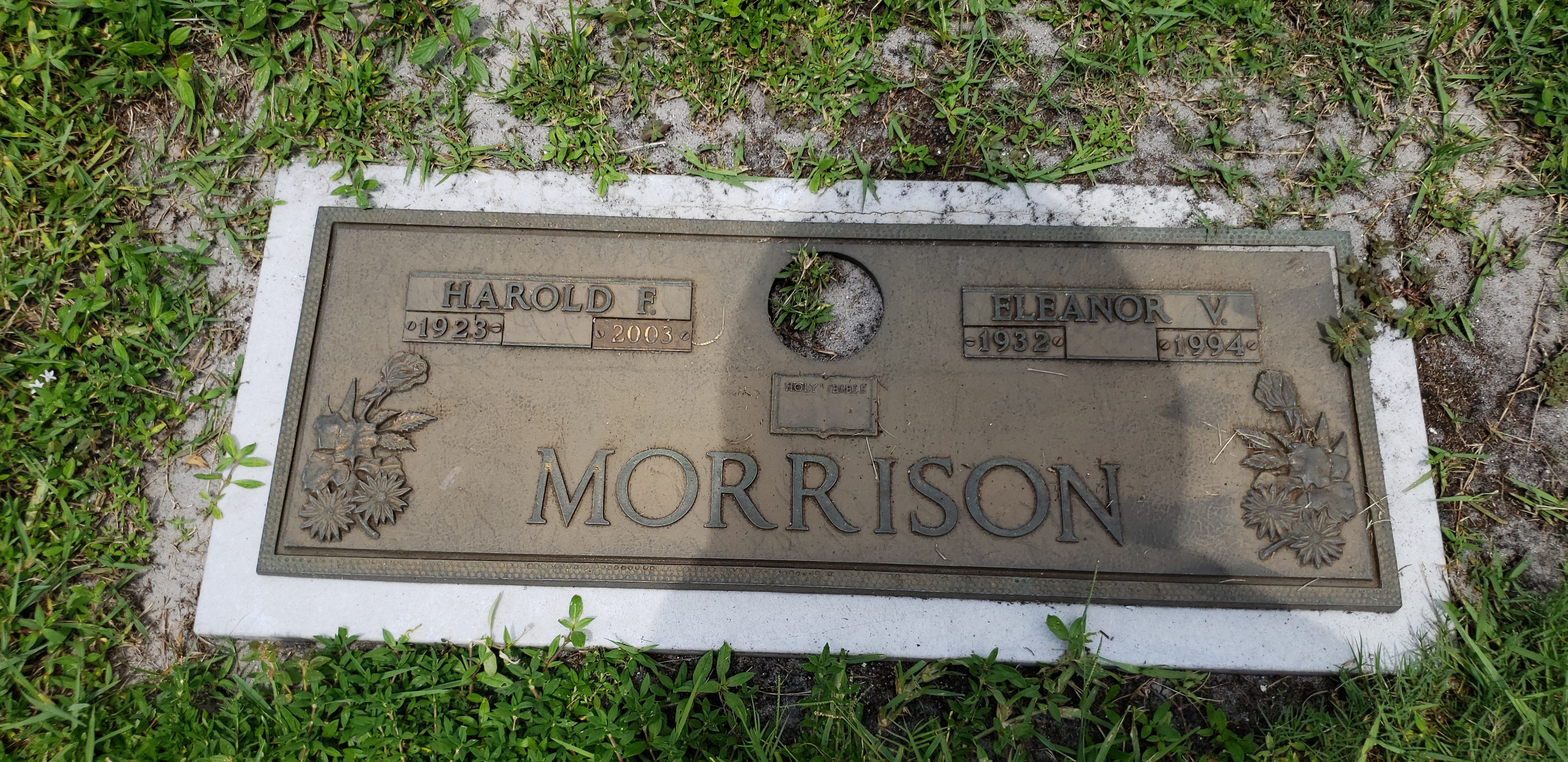 Harold F Morrison