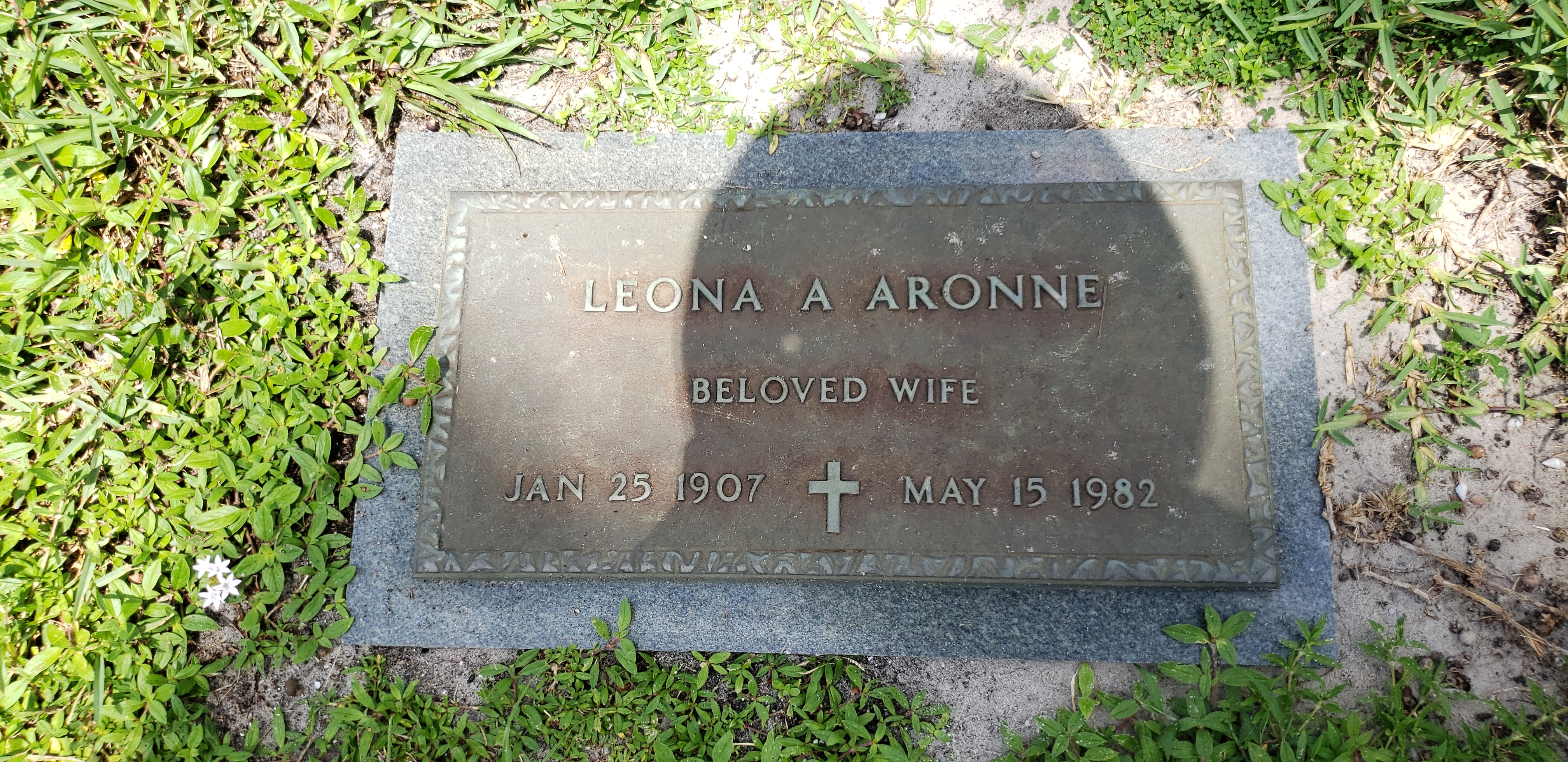 Leona A Aronne