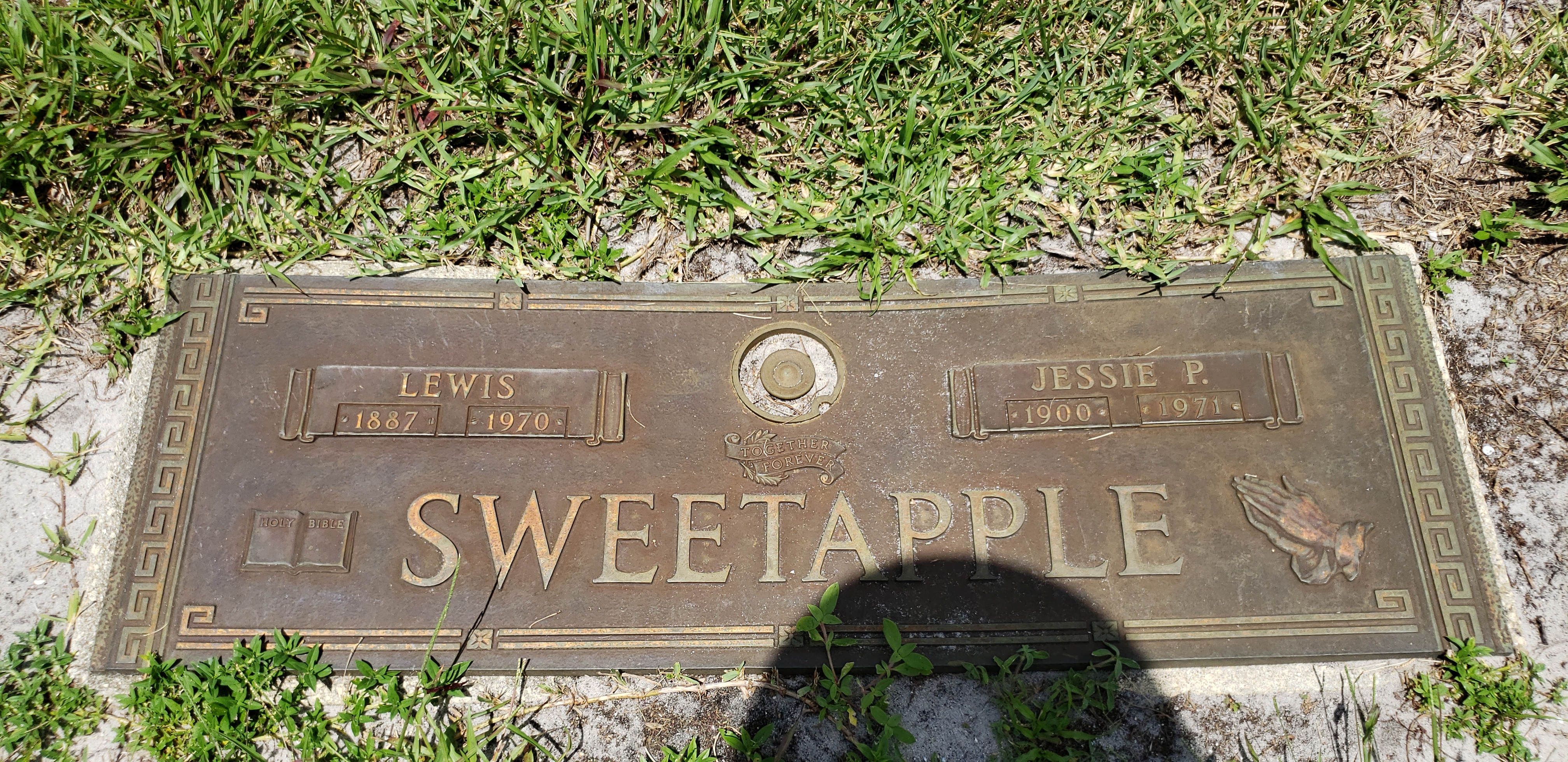 Jessie P Sweetapple
