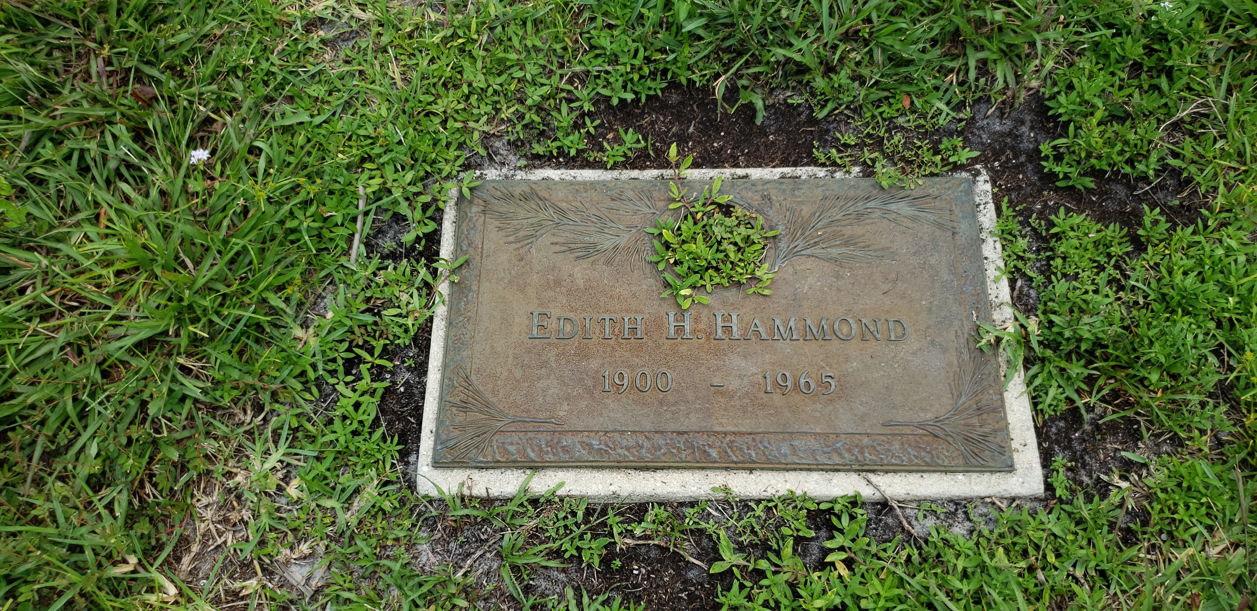 Edith H Hammond
