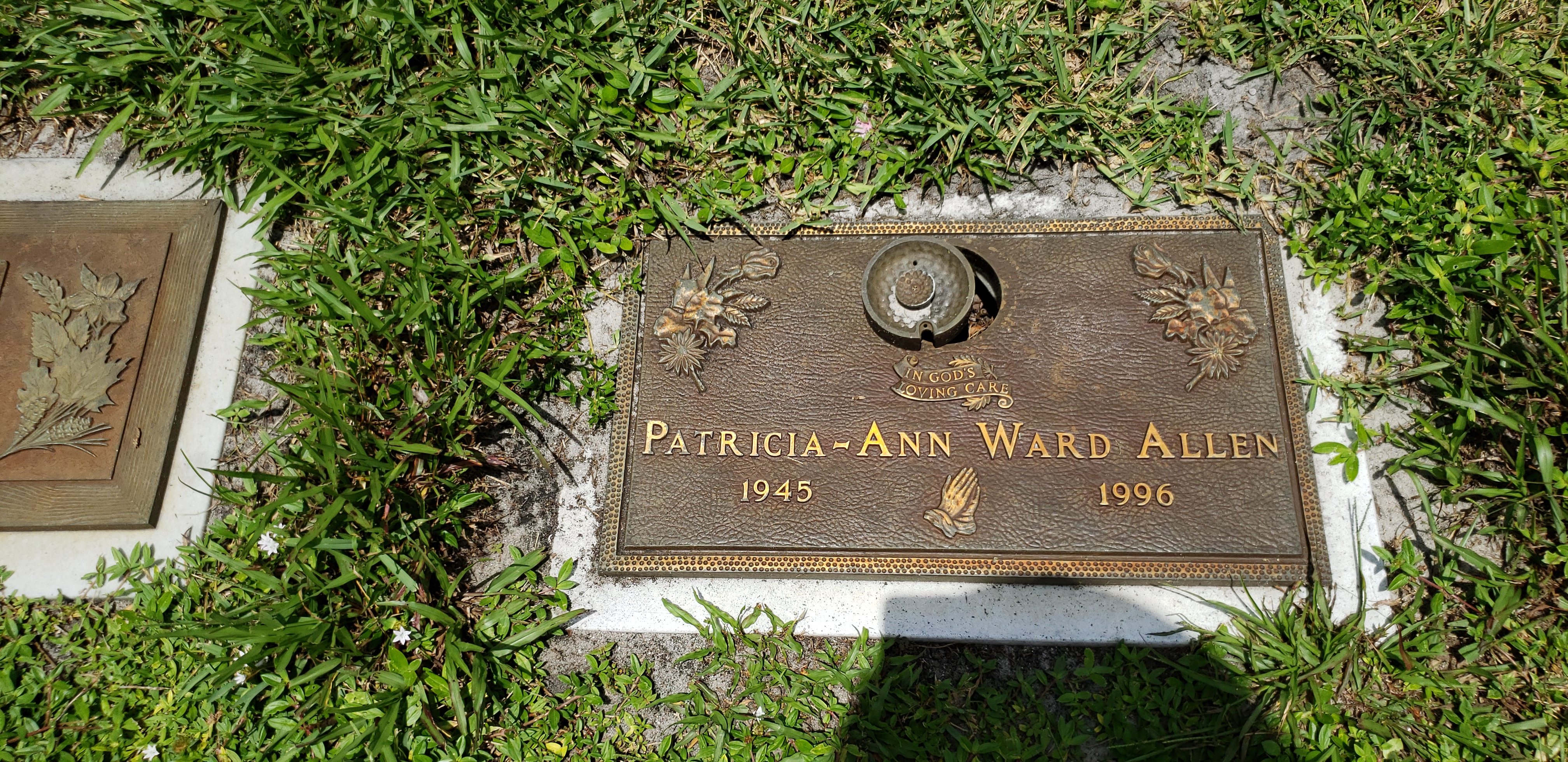 Patricia-Ann Ward Allen