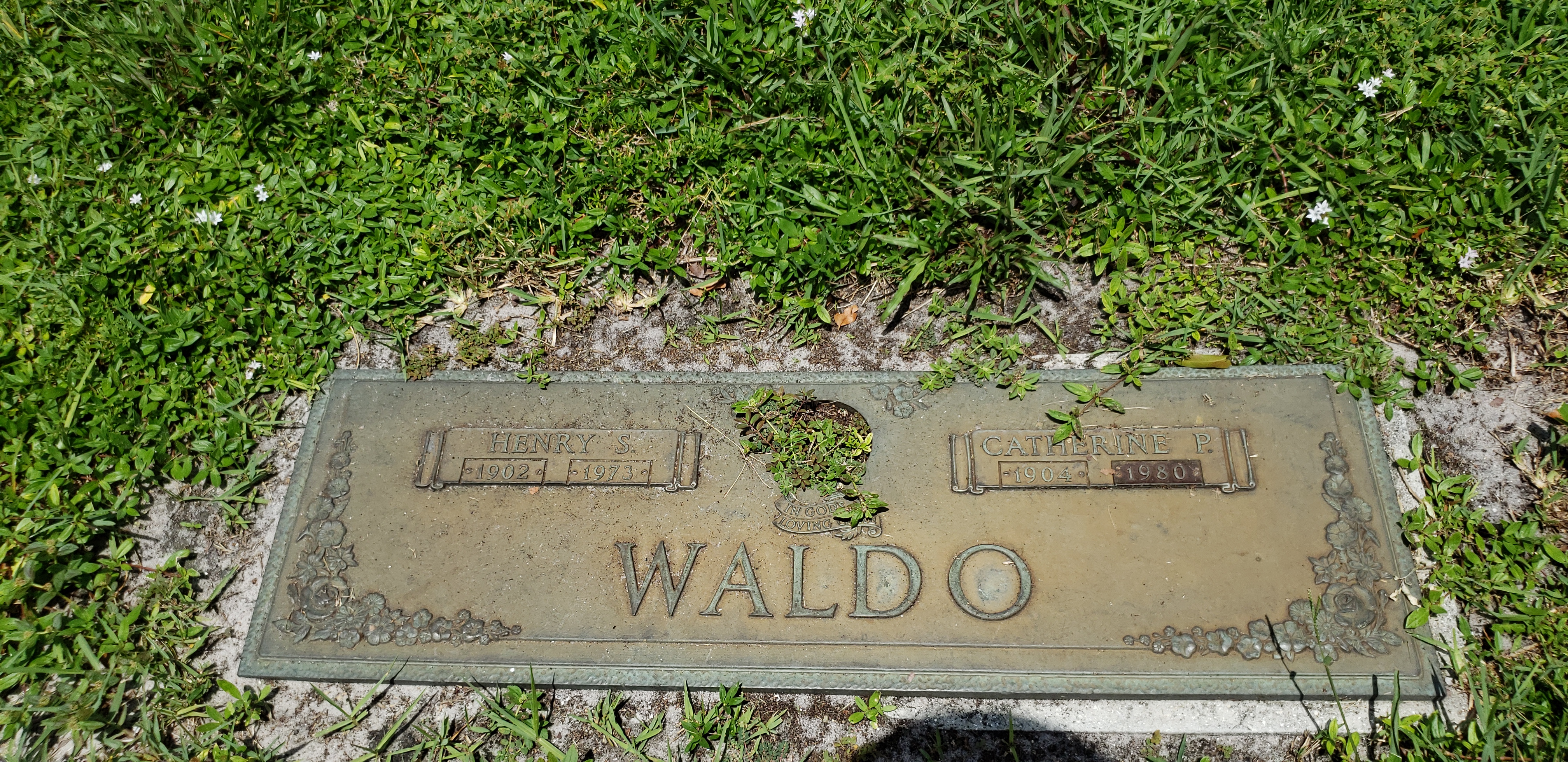 Henry S Waldo