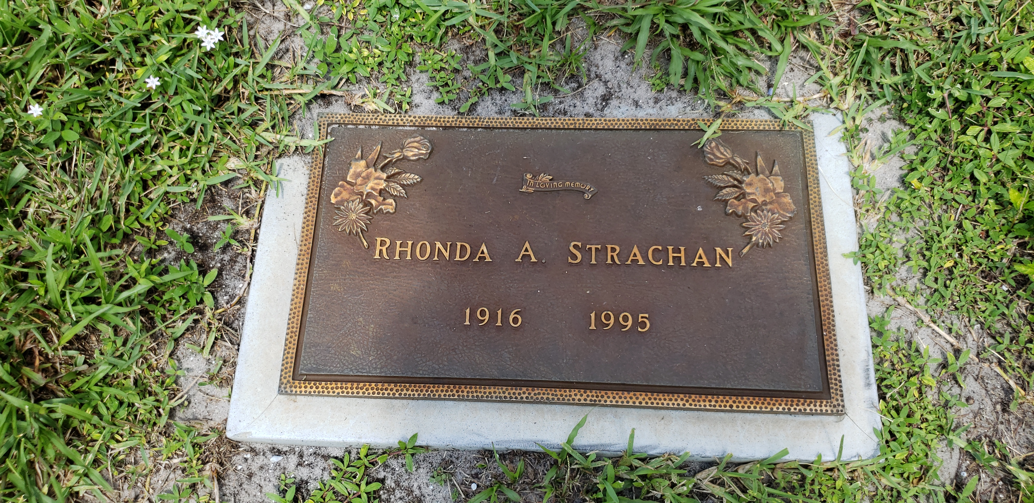 Rhonda A Strachan