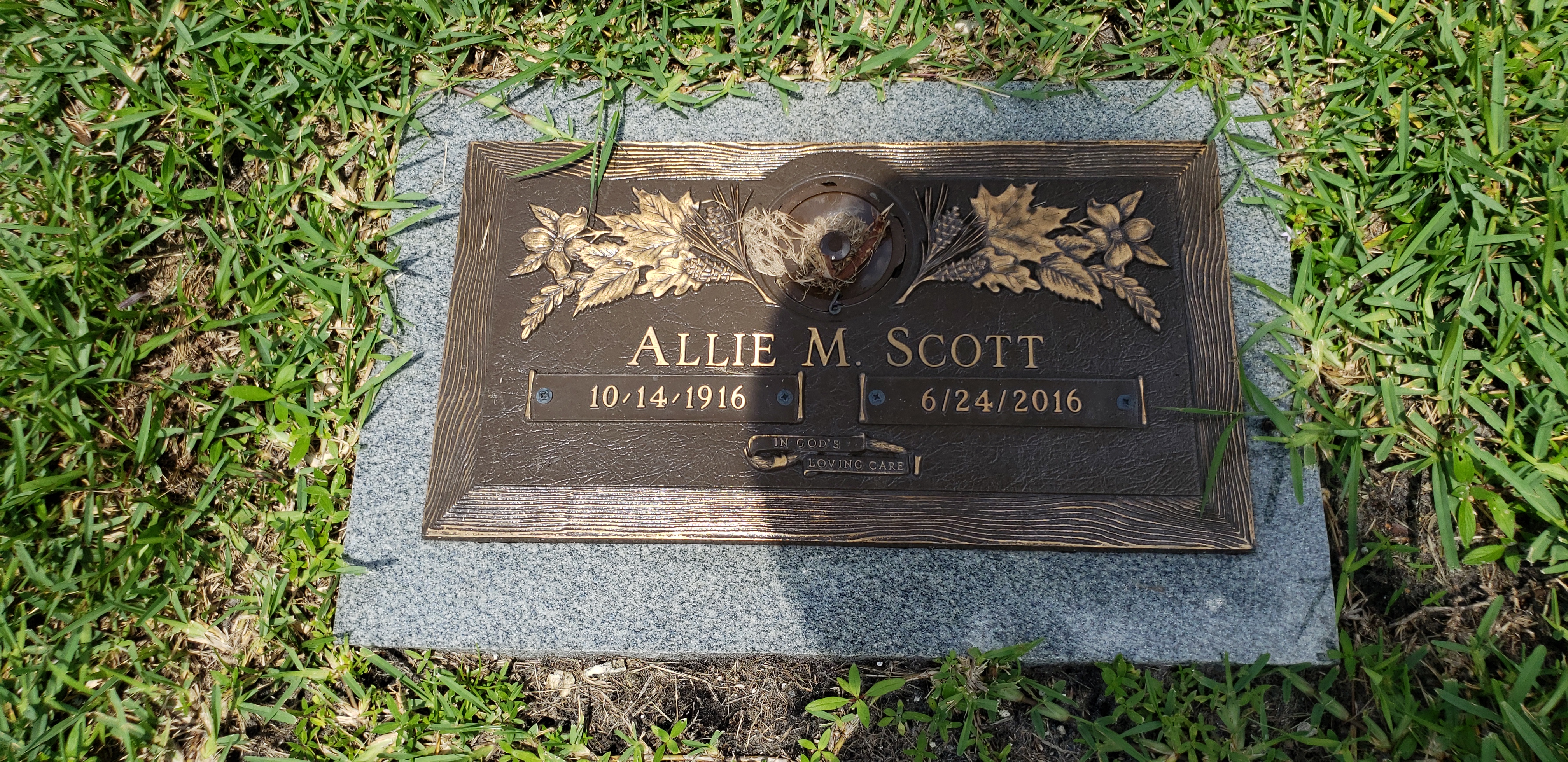 Allie M Scott