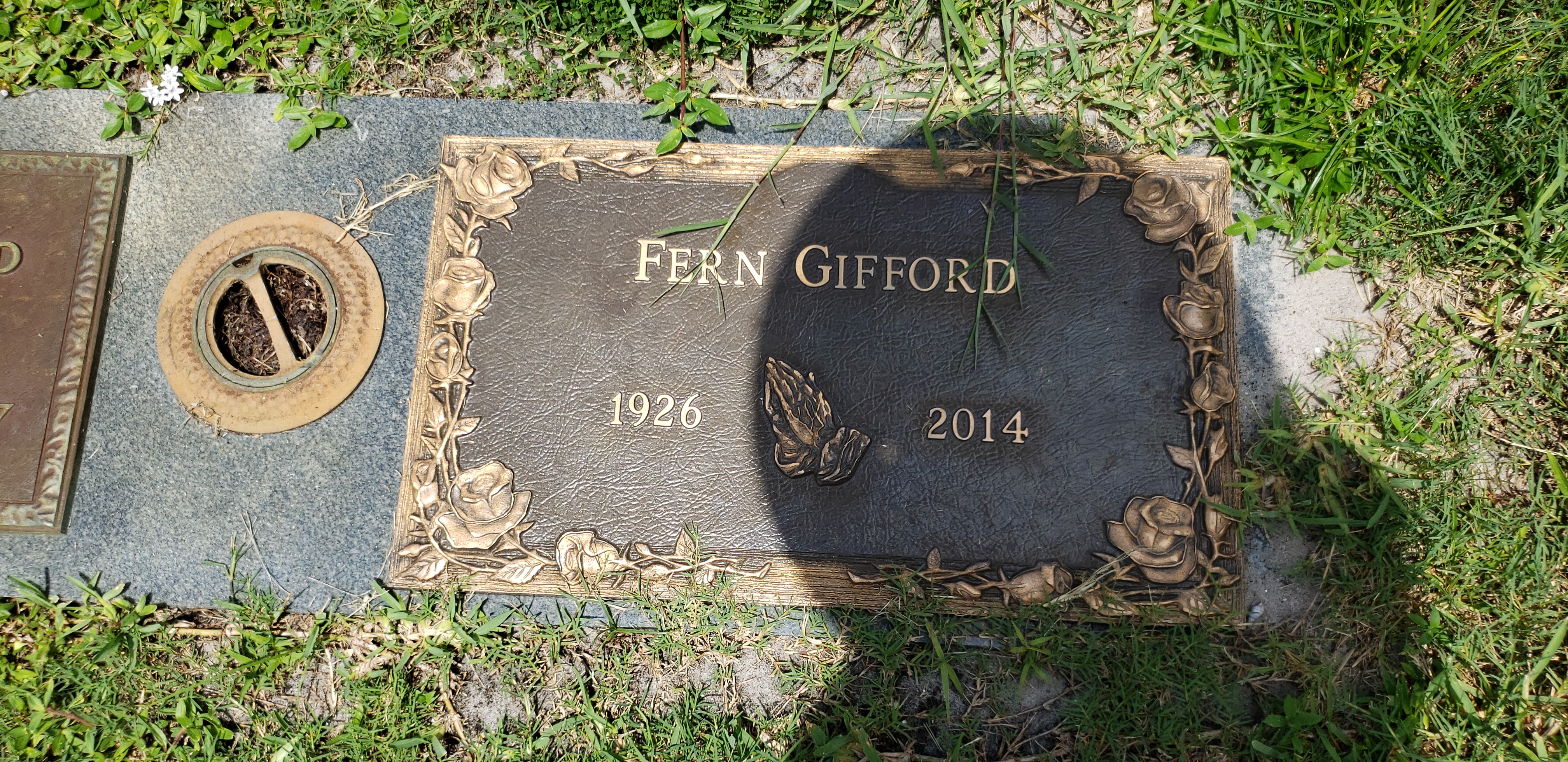 Fern Gifford