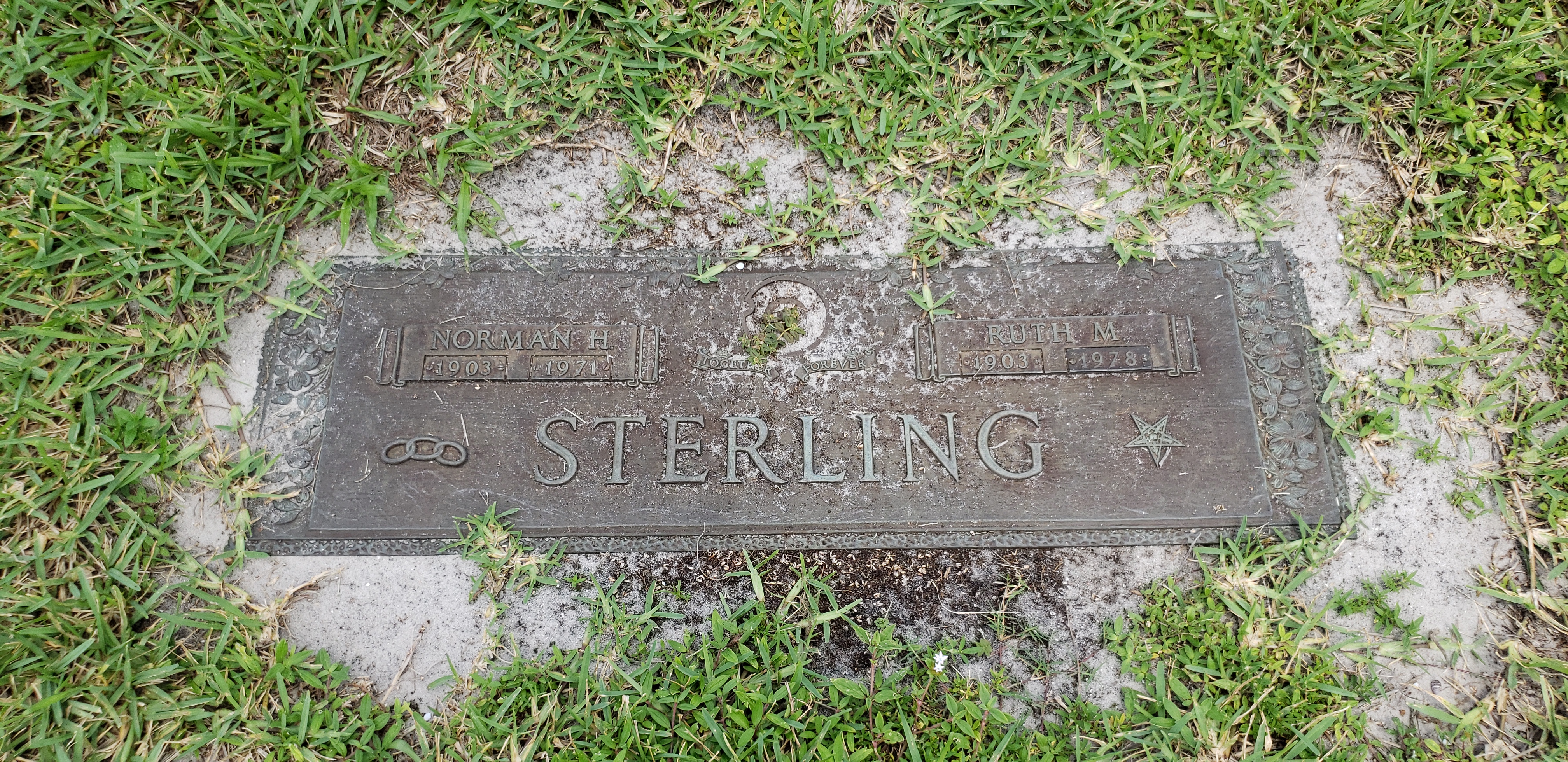 Norman H Sterling