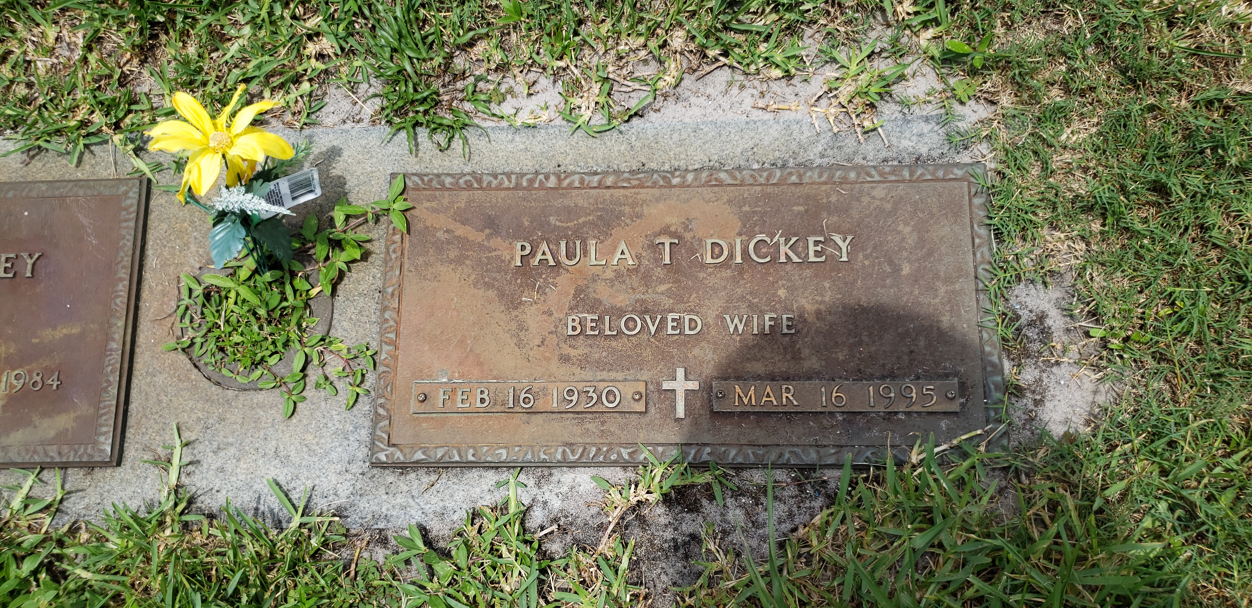 Paula T Dickey