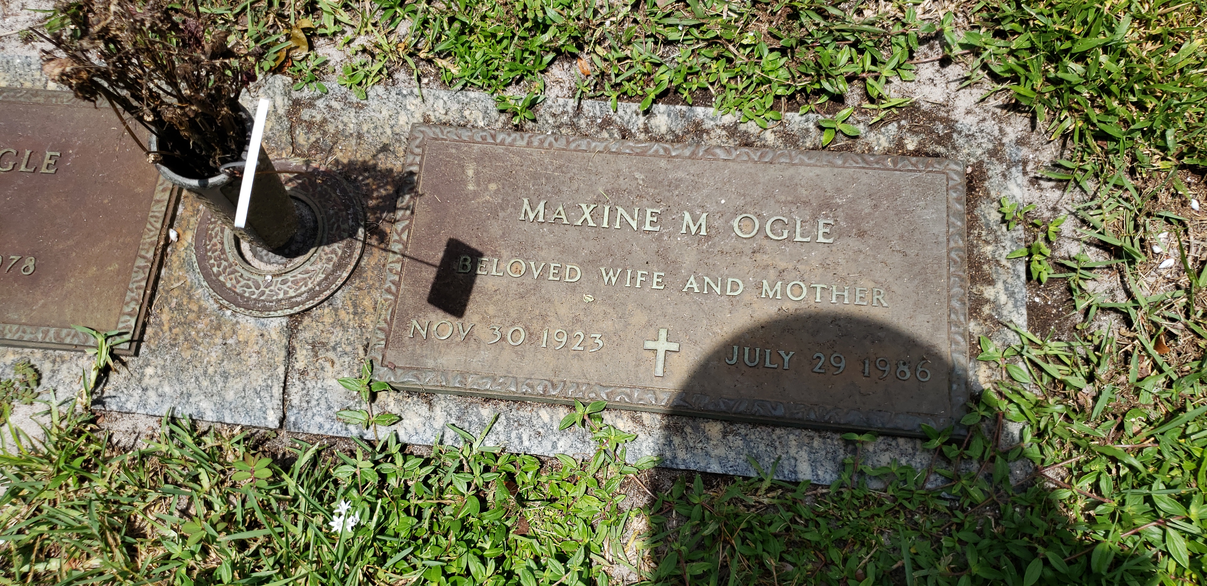 Maxine M Ogle