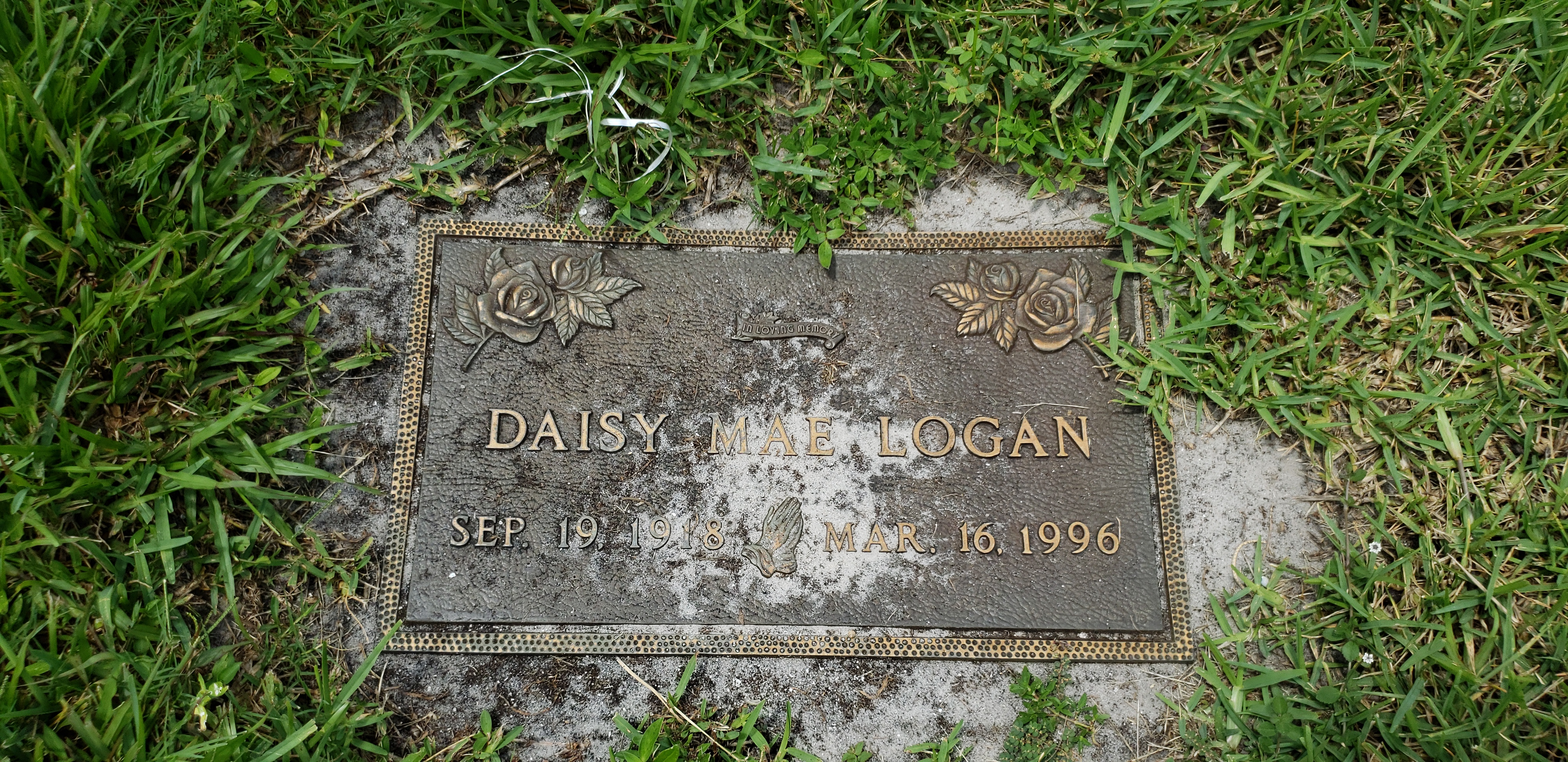 Daisy Mae Logan