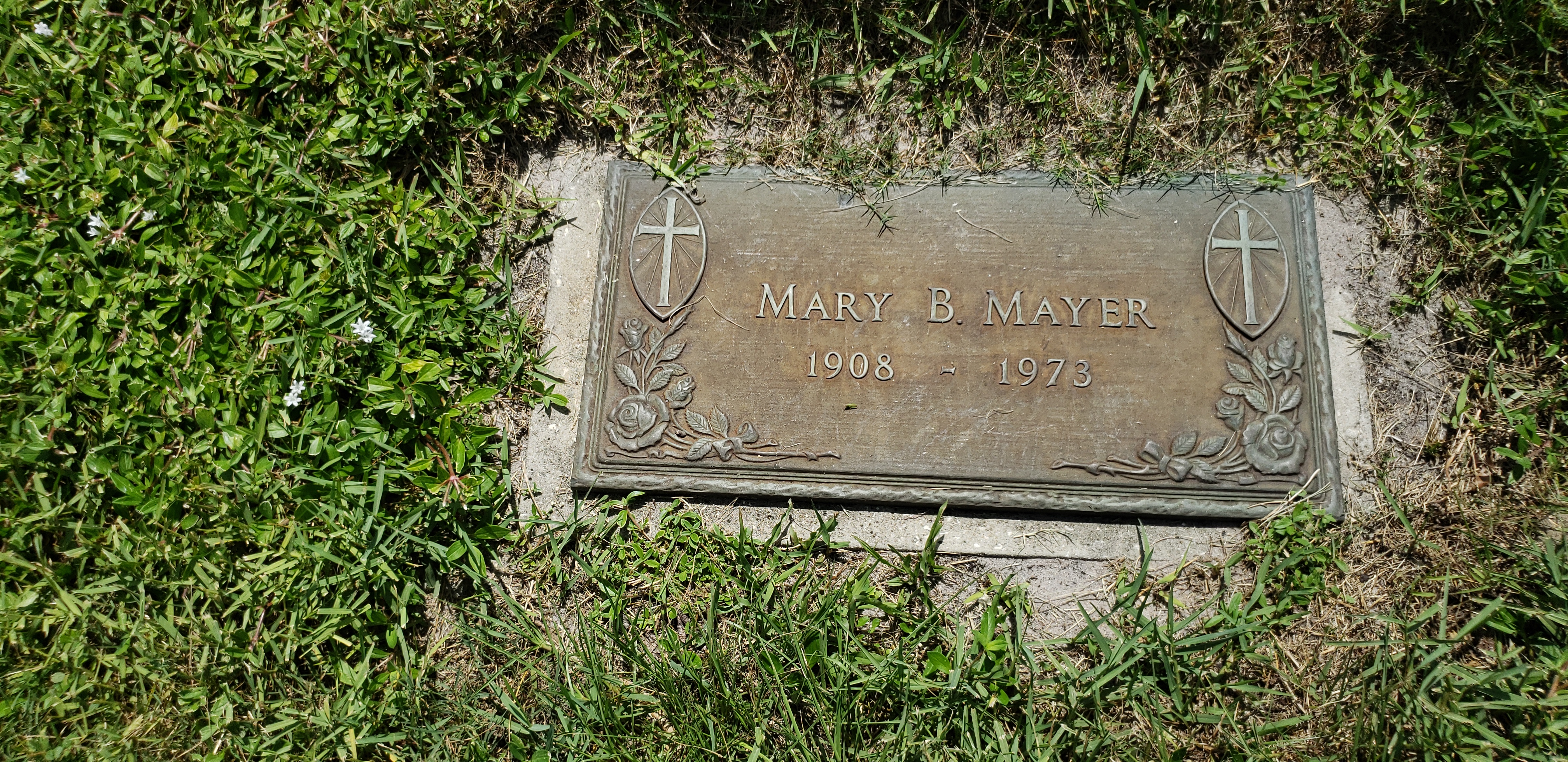 Mary B Mayer