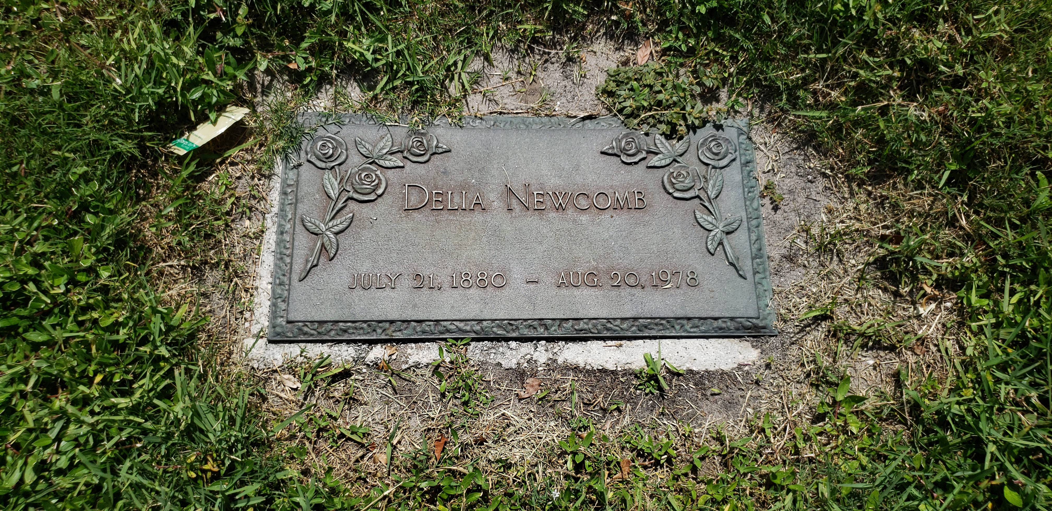 Delia Newcomb