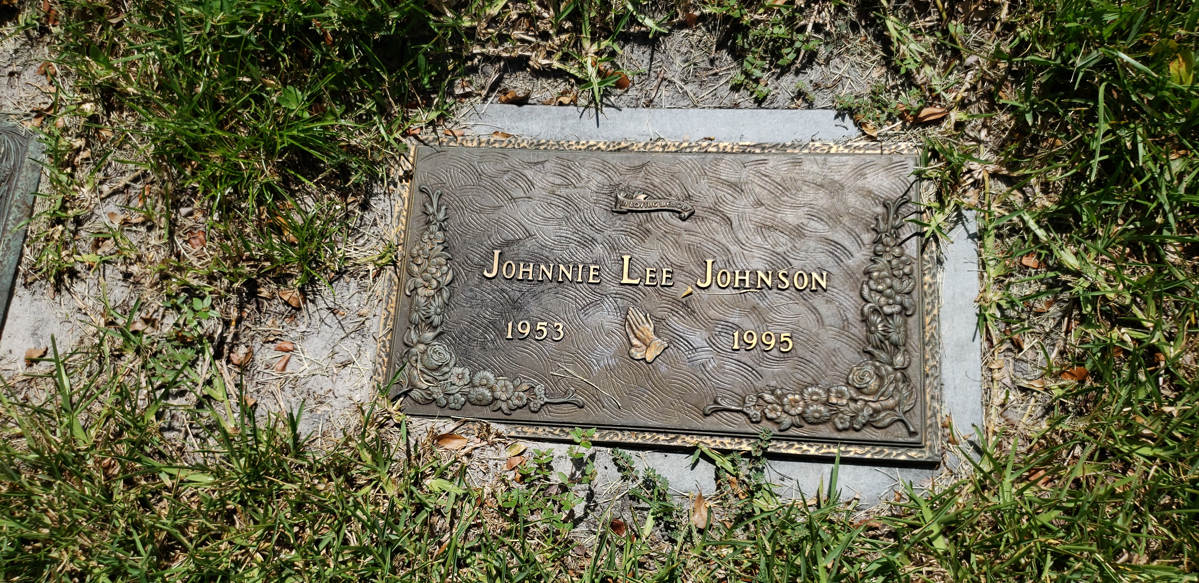 Johnnie Lee Johnson