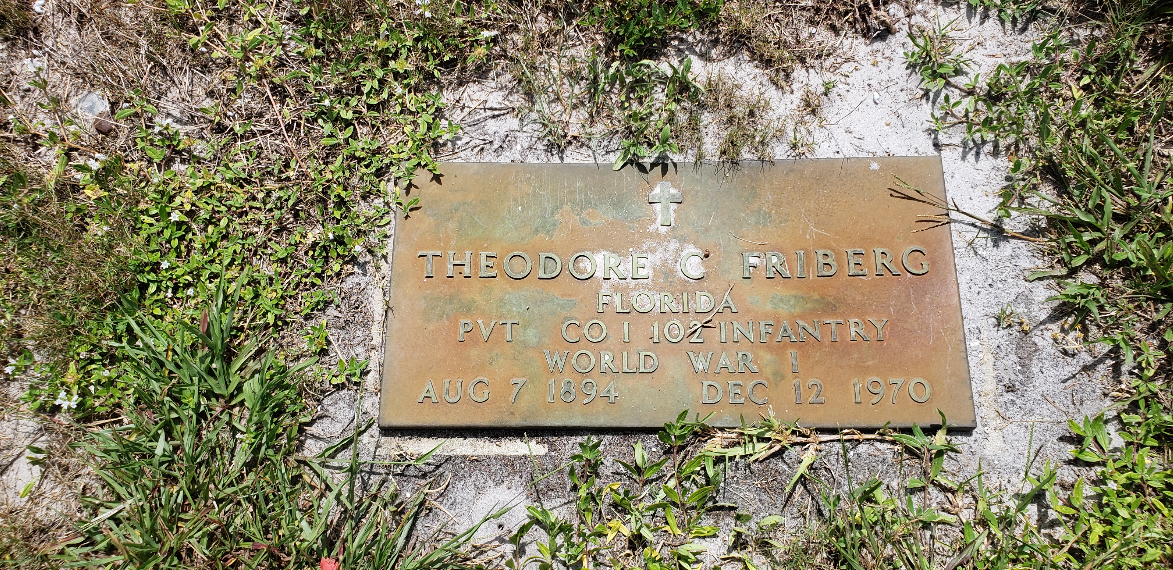 Theodore C Friberg