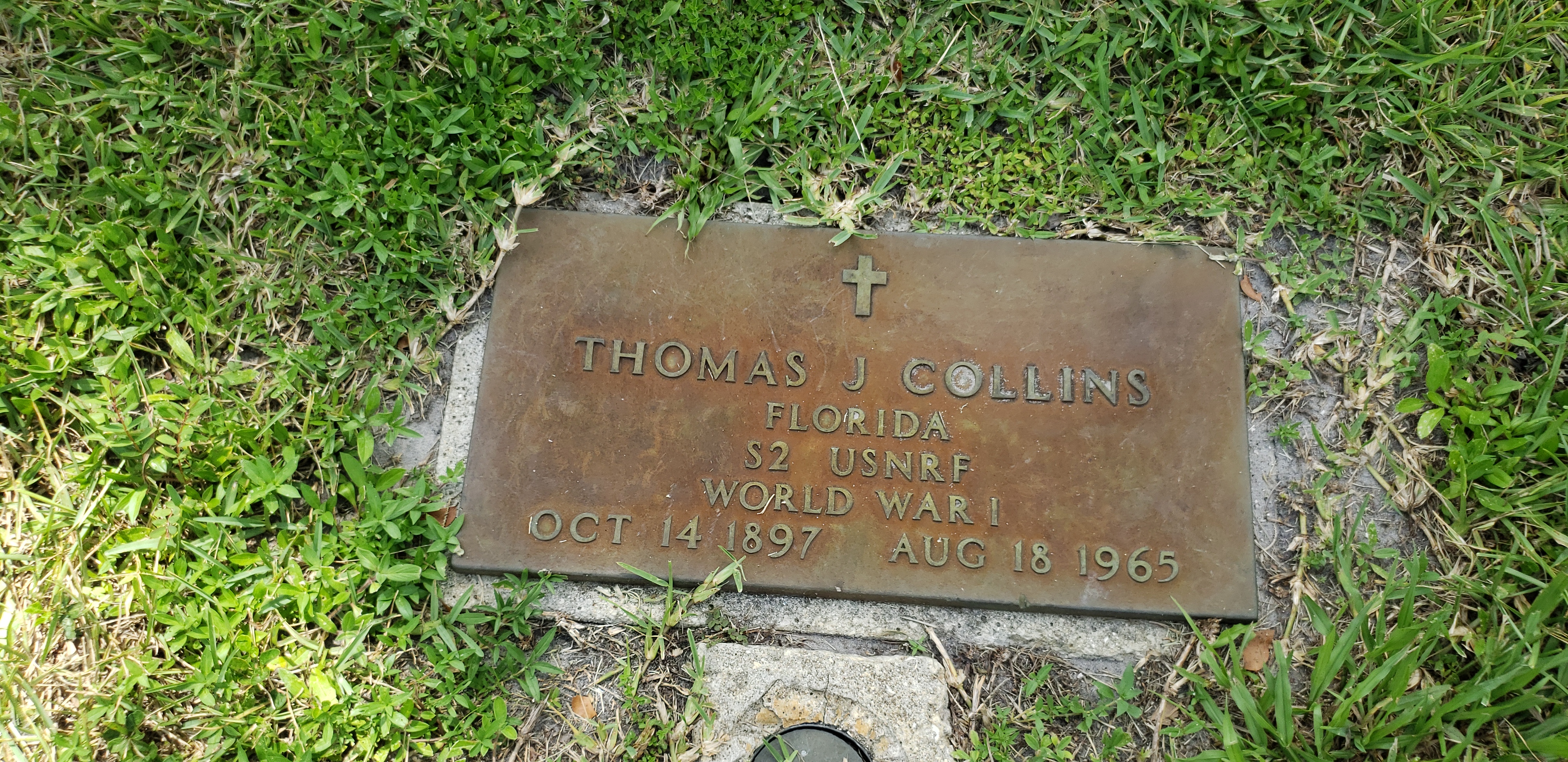 Thomas J Collins