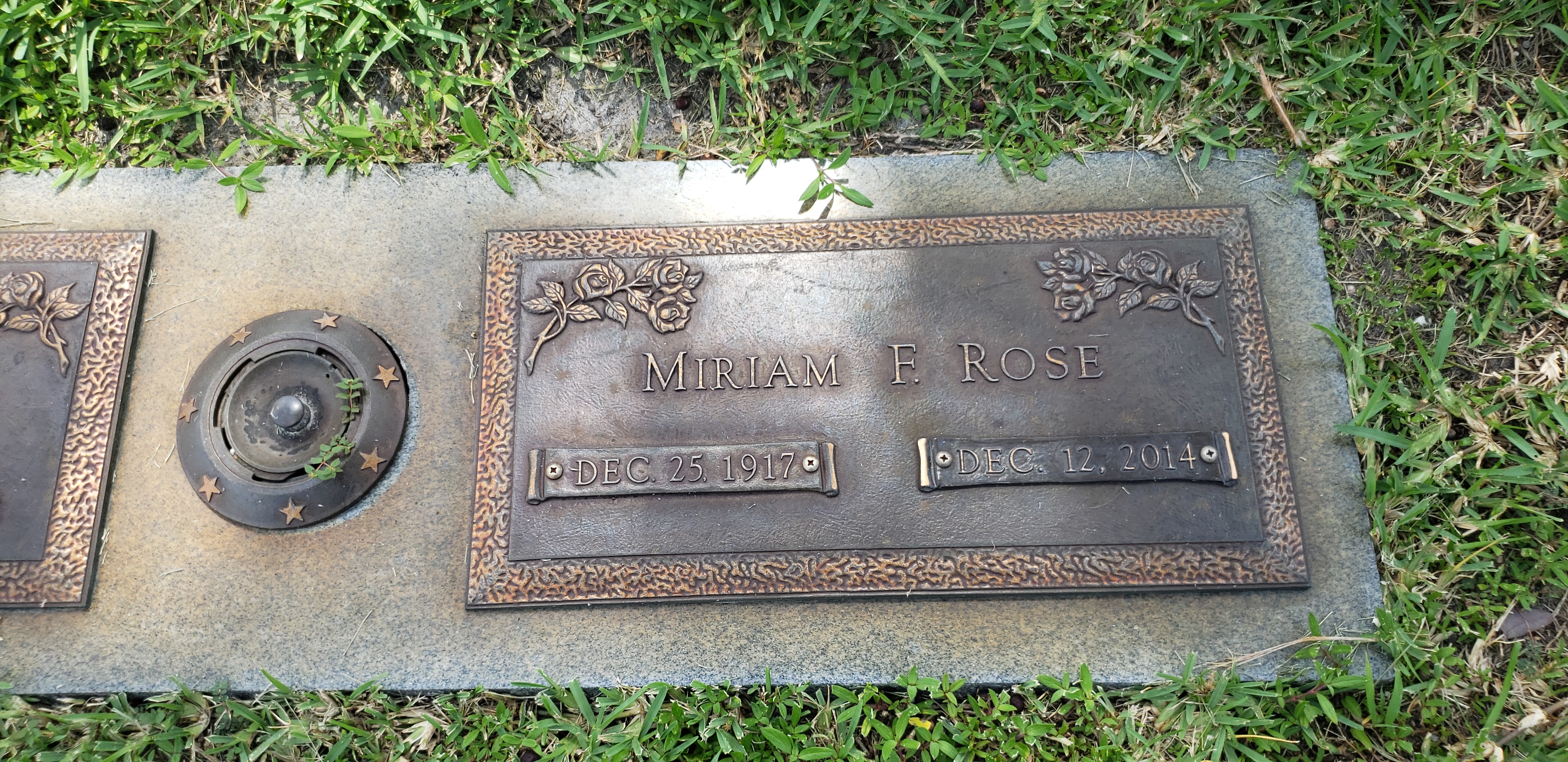 Miriam F Rose