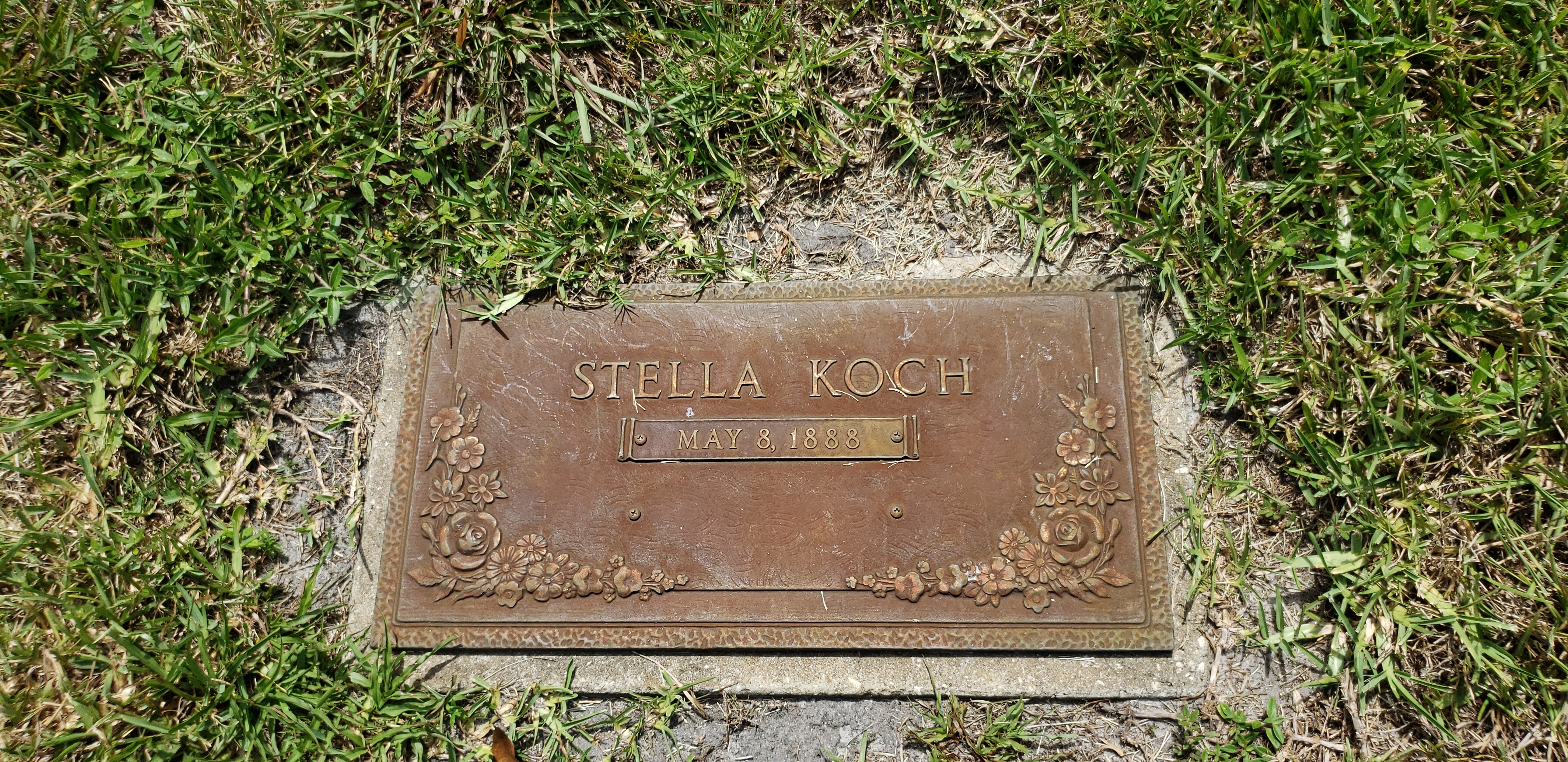 Stella Koch