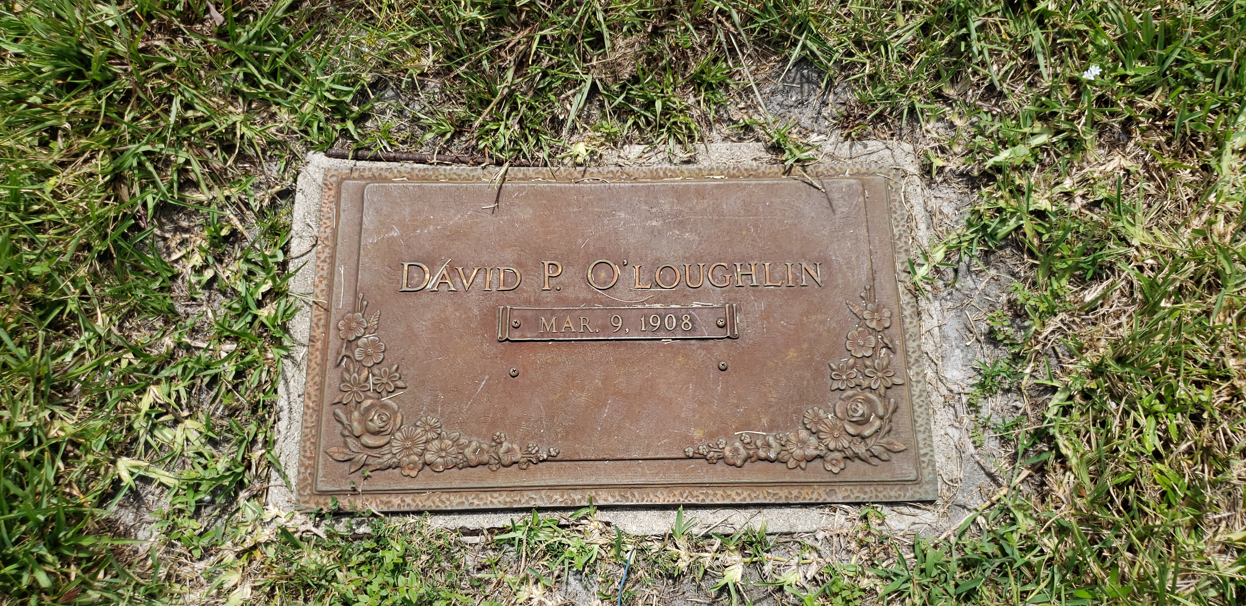 David P O'Loughlin
